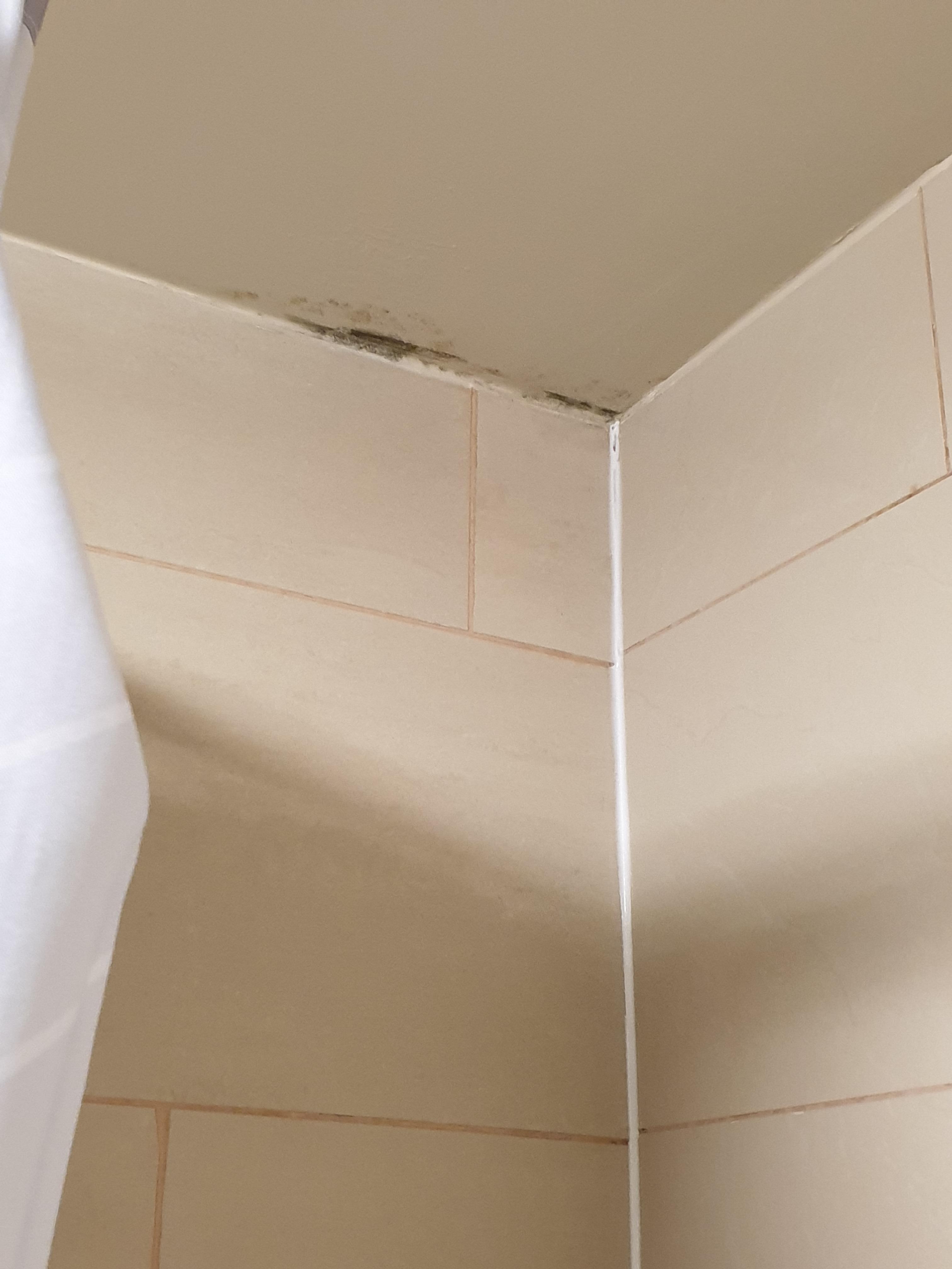 Mould in bathroom