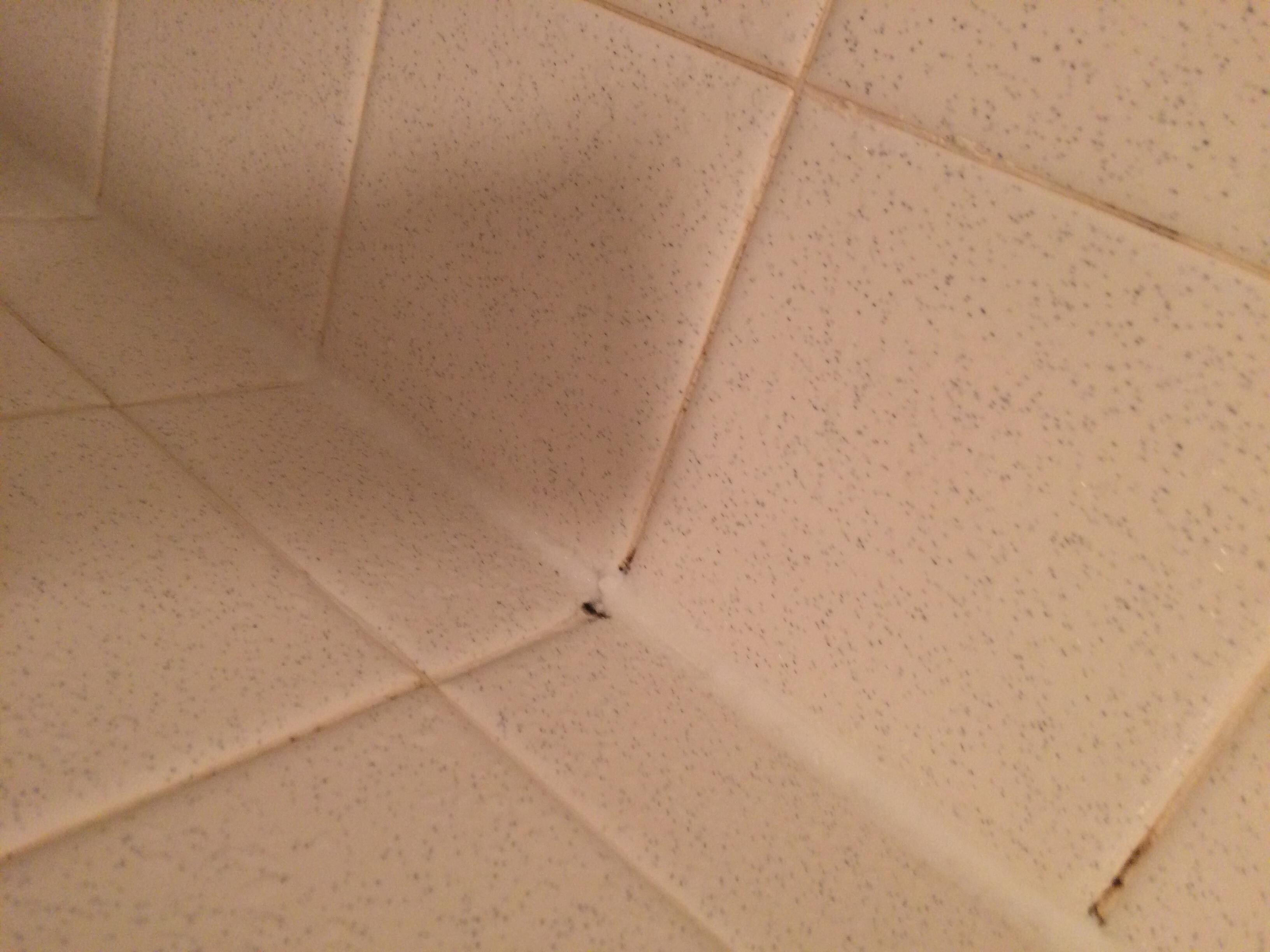 This is dirt on the wall plate and switch