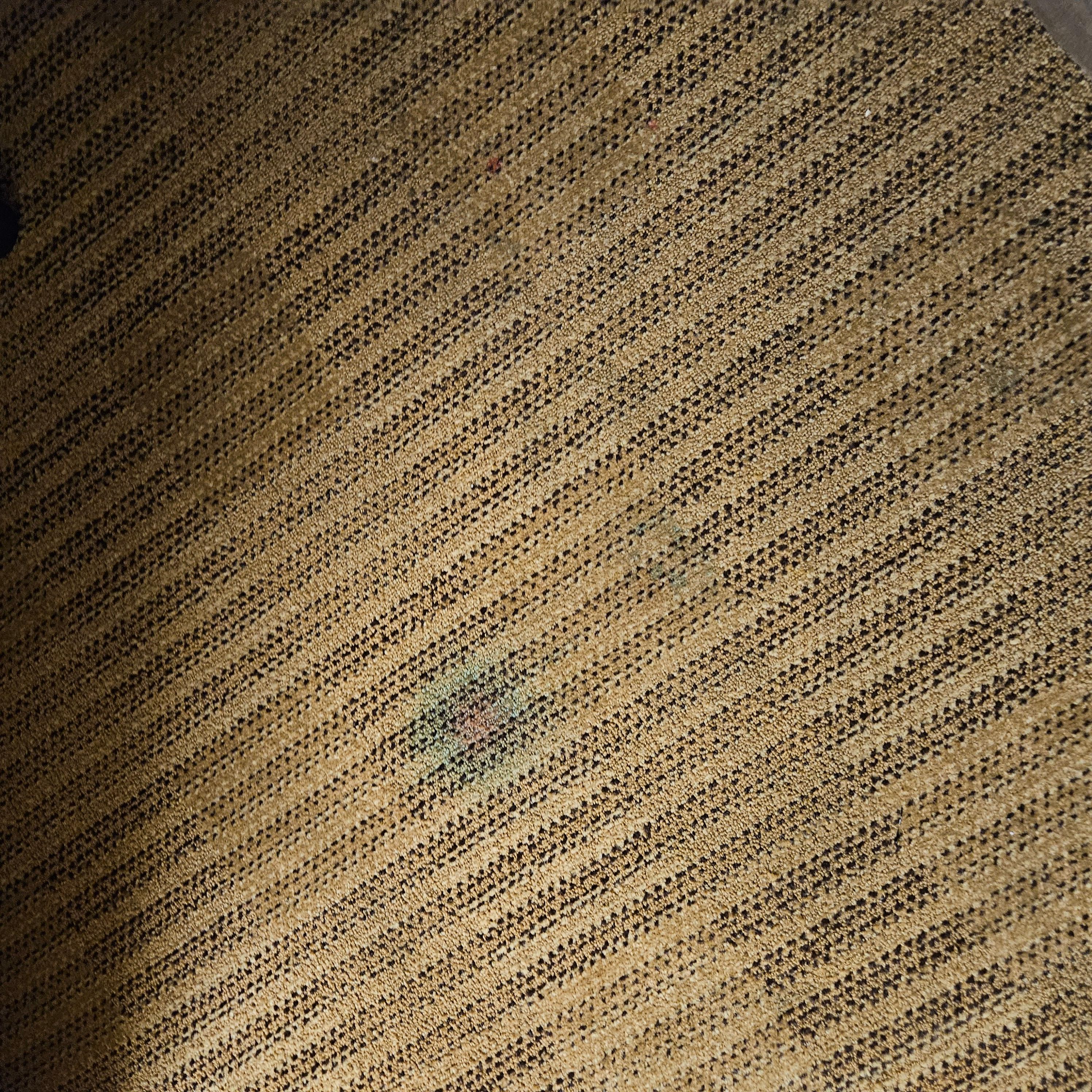 Stain on rug near bed