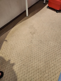 carpet stains