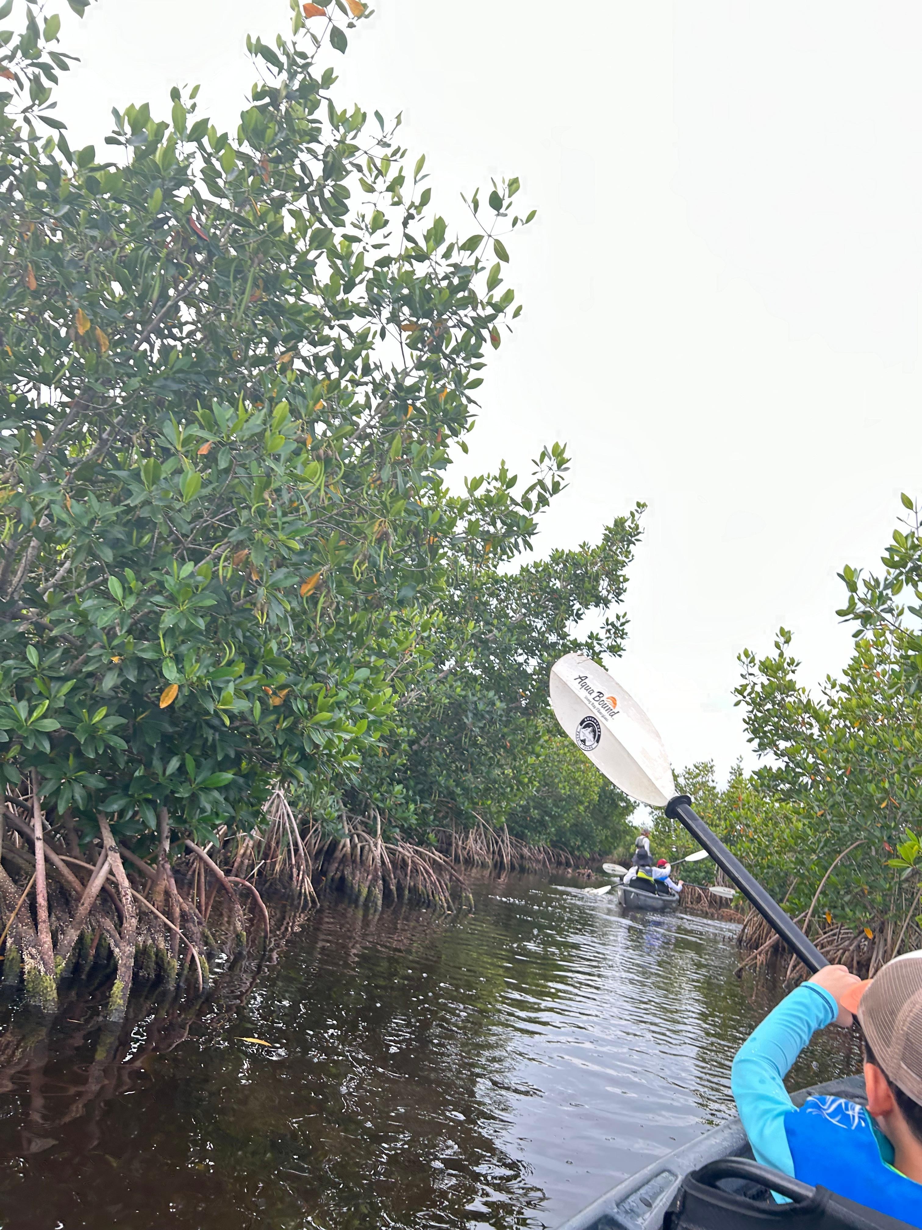 カヤックツアー