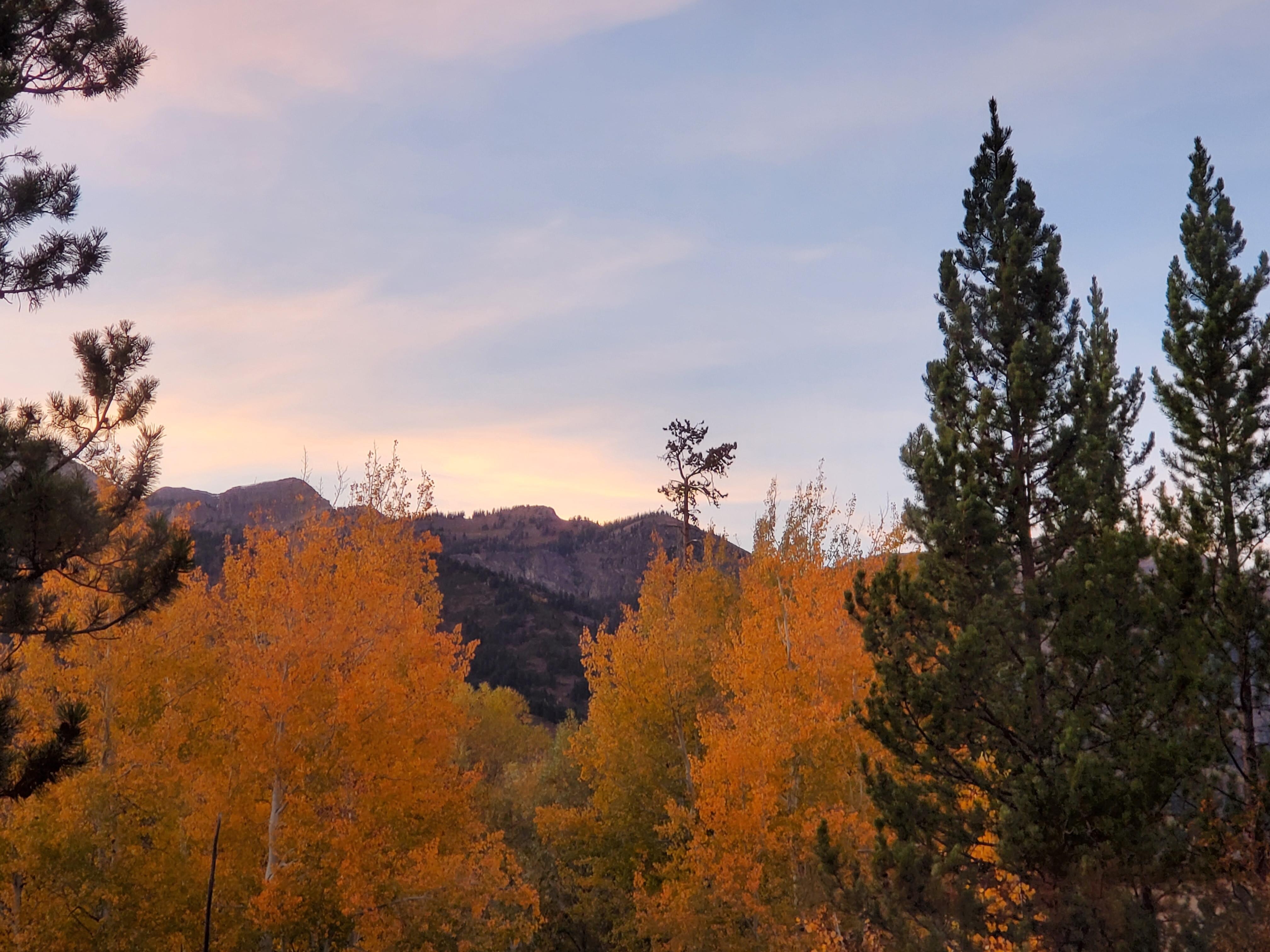 View from the porch