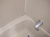 Mold/dirt in tub
