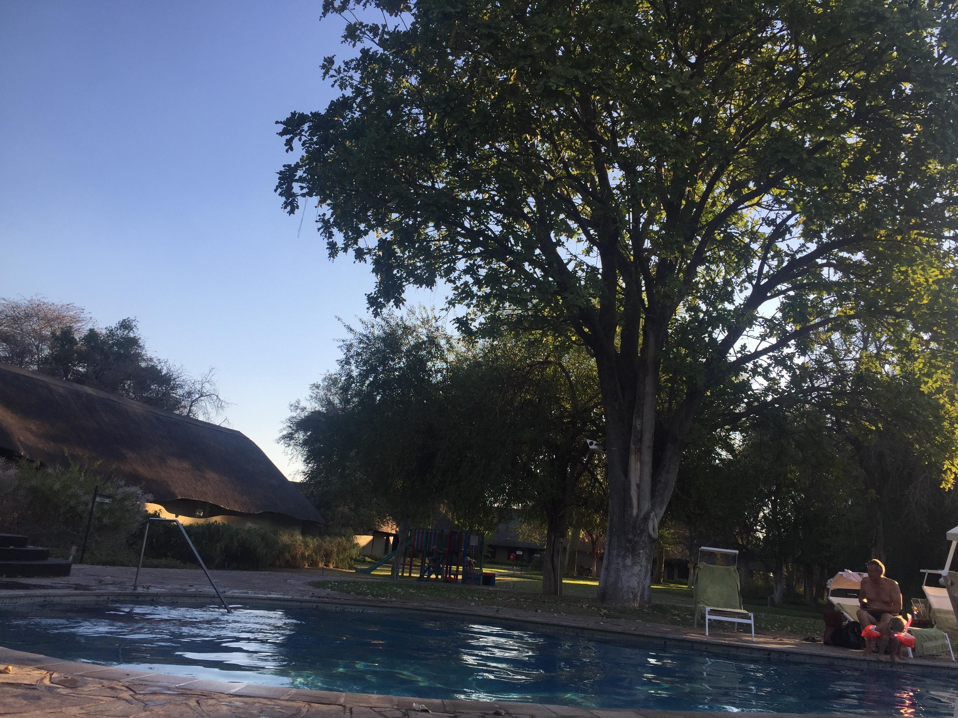 Pool area, is better thanbthis picture shows