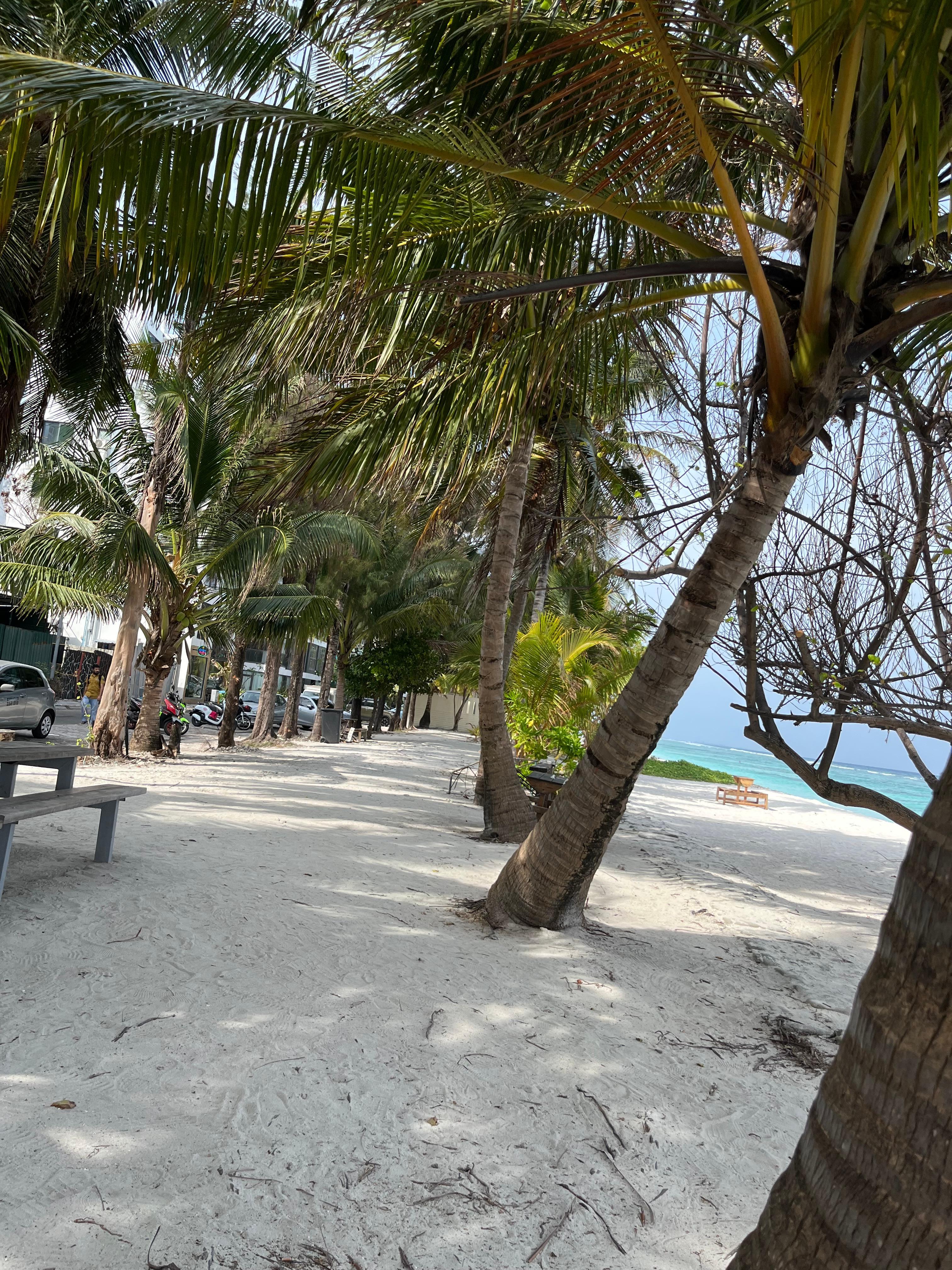 Beach promenade