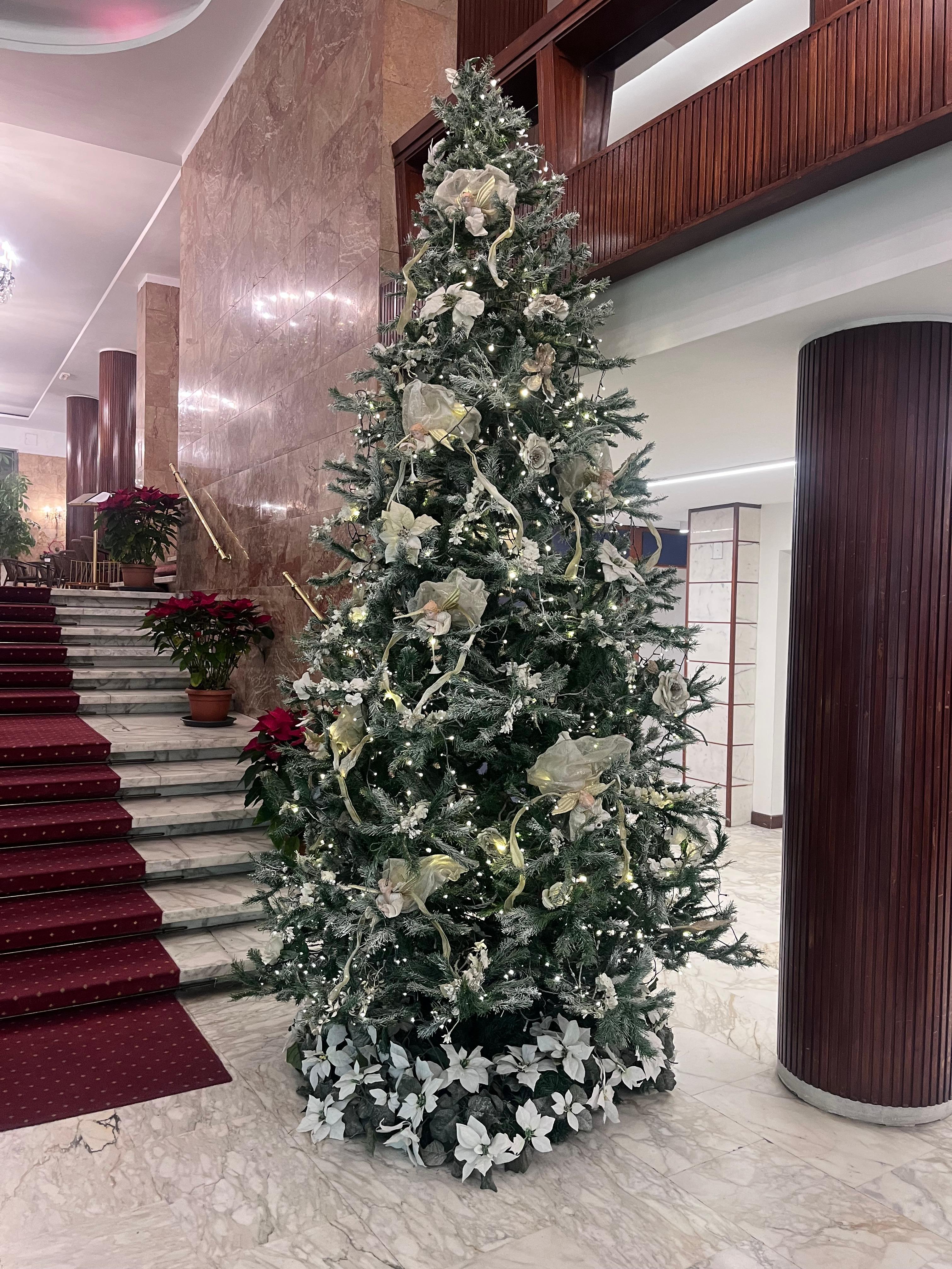 Xmas tree in lobby.