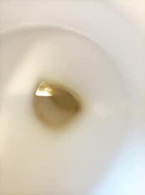 Toilet bowl brown stains