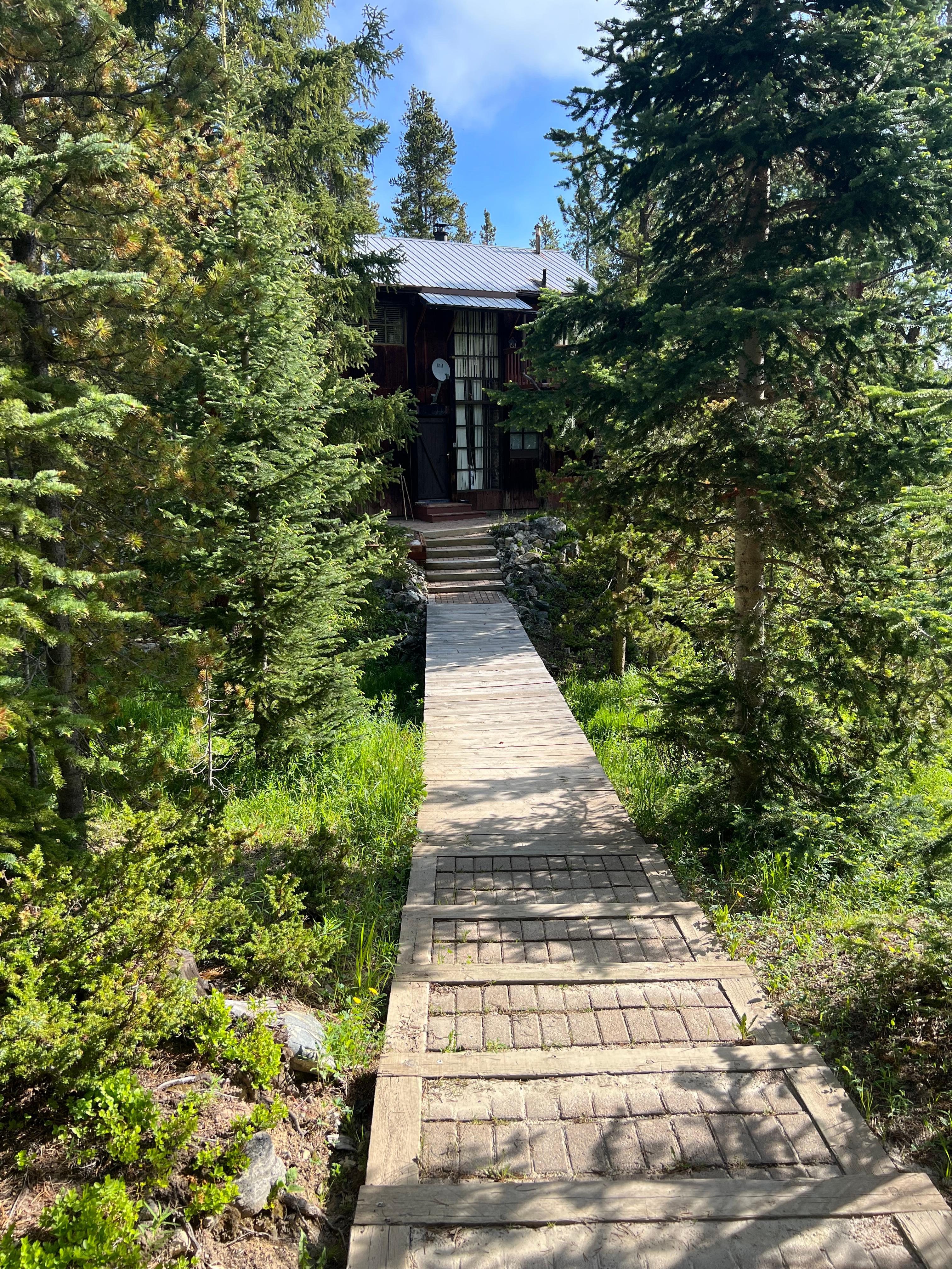 Walkway to cabin 