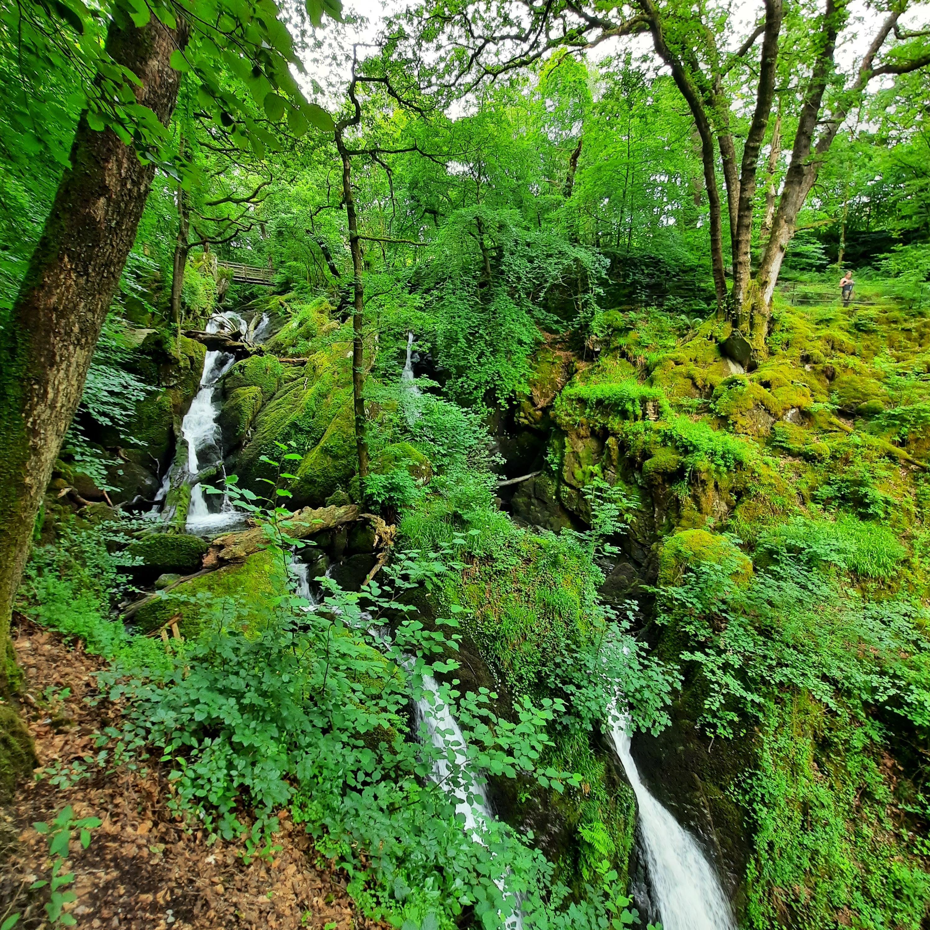 The local waterfall.