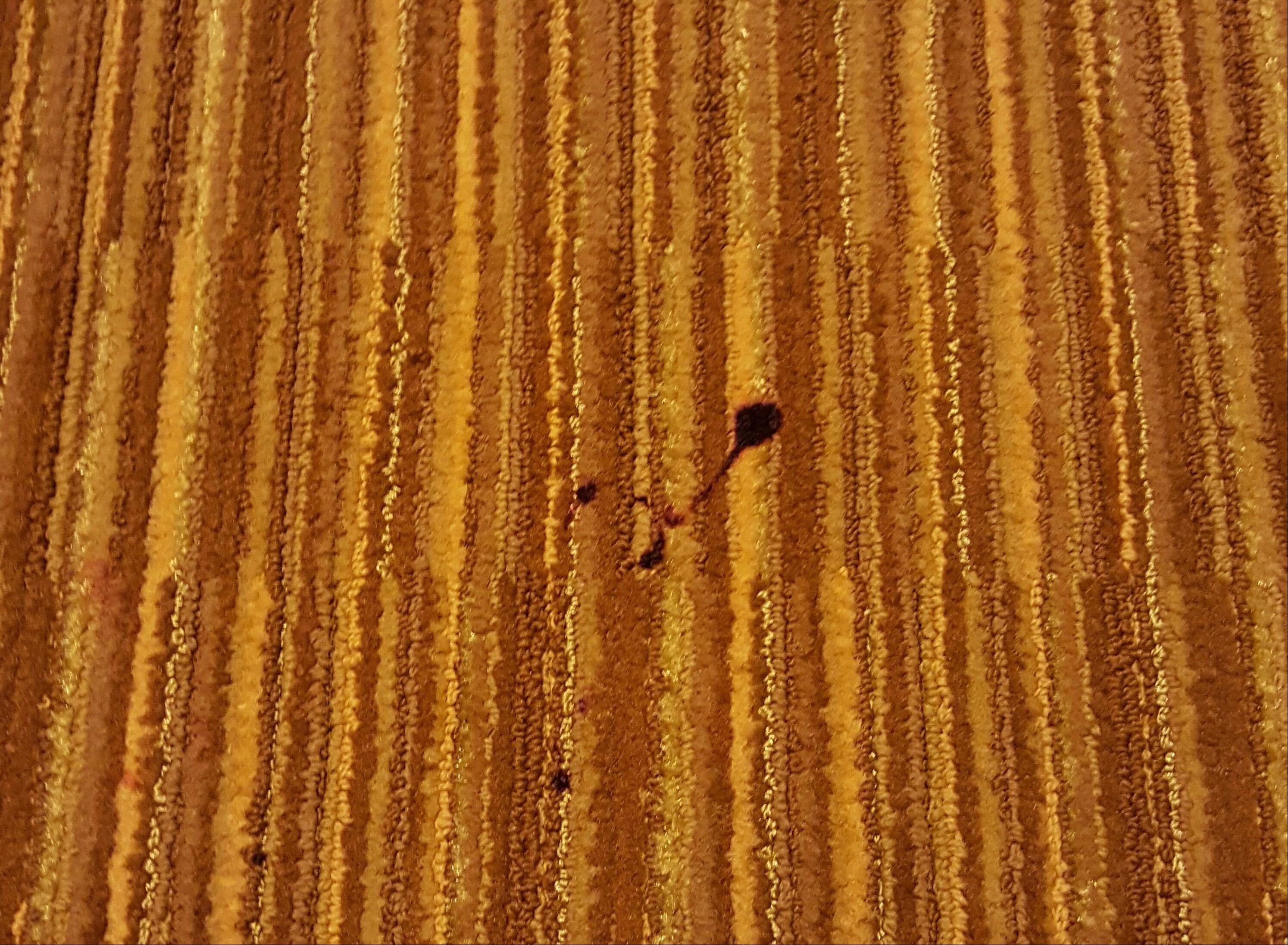 Carpet in the Room
