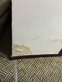 dampness and mold in the room