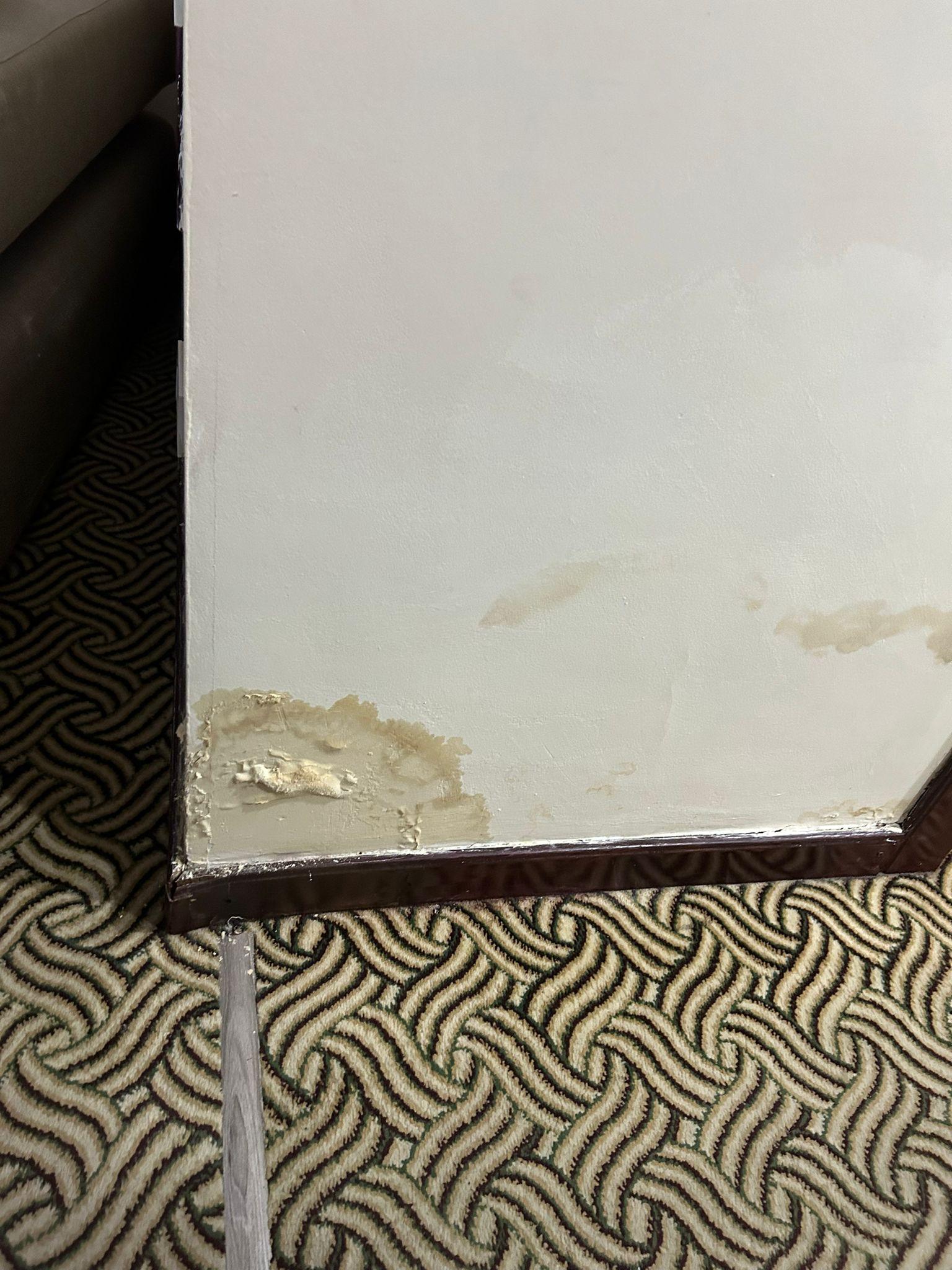 dampness and mold in the room