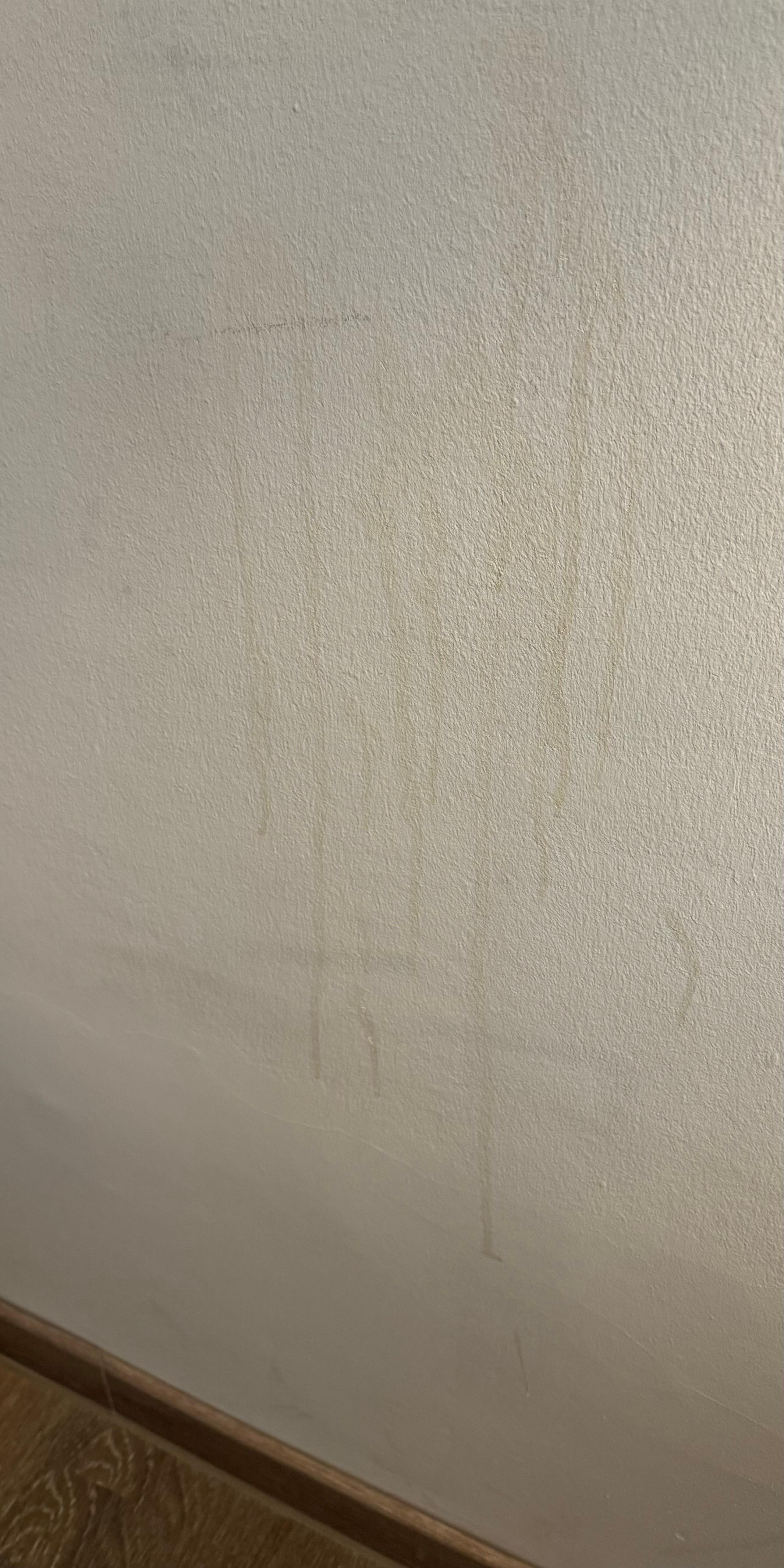 Pletter/spild på væg i værelse