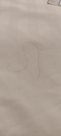 Langt sort hår på sengen (jeg har kort, lyst hår)