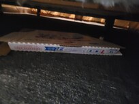 Pizza box under bed from last guess
