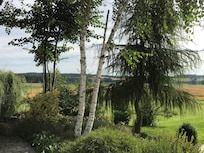 View from the terrace