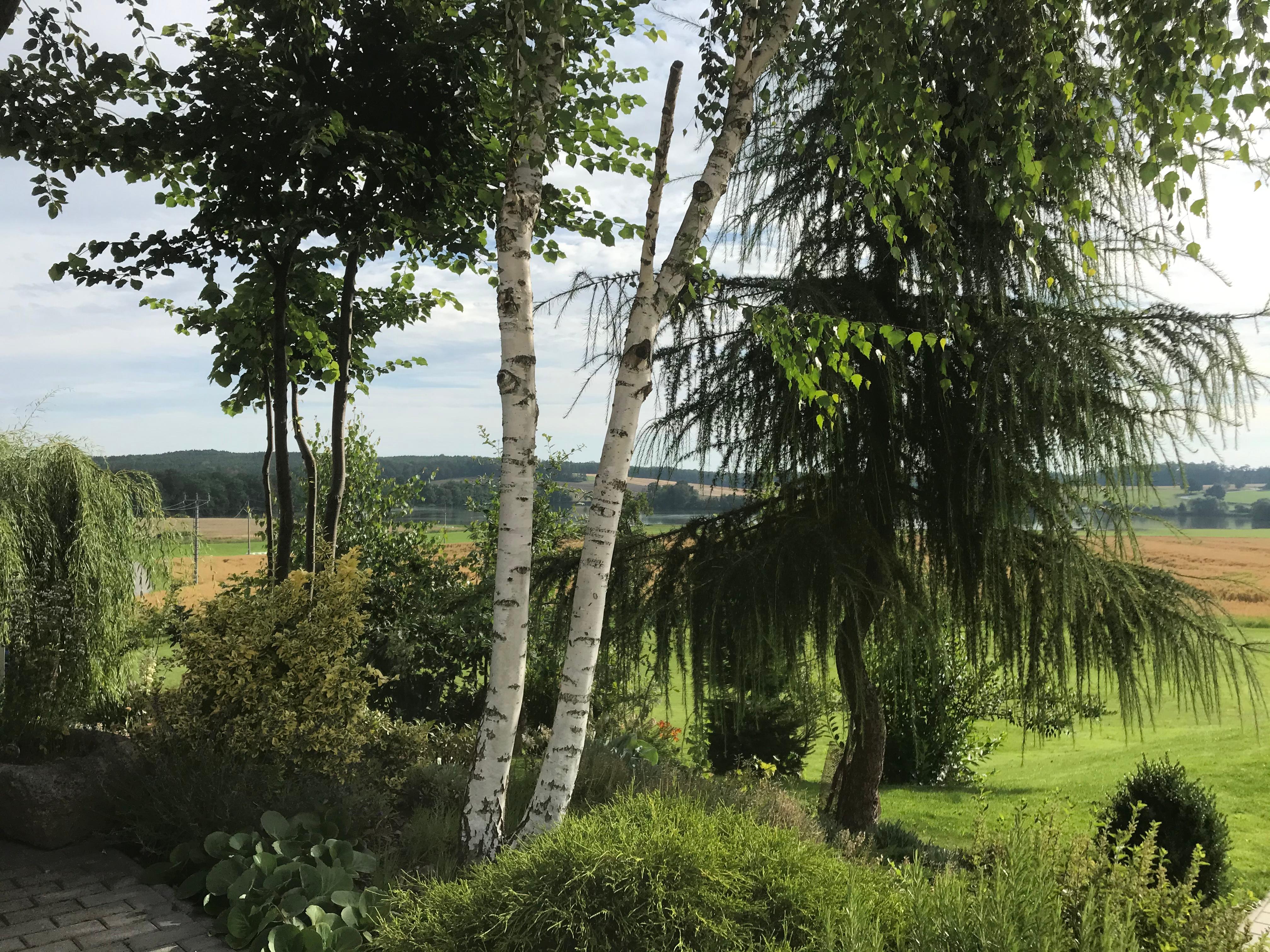 View from the terrace 