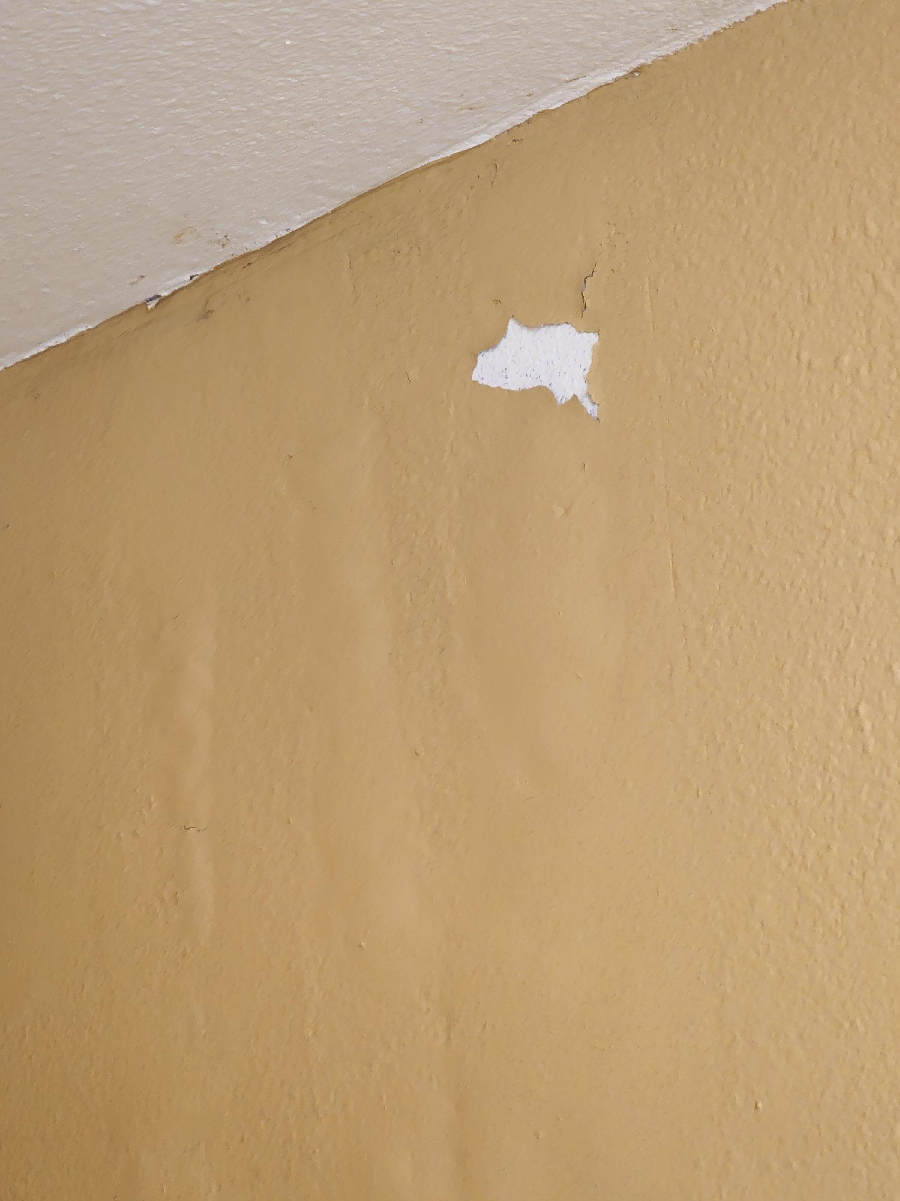 Paint falling off the wall.
