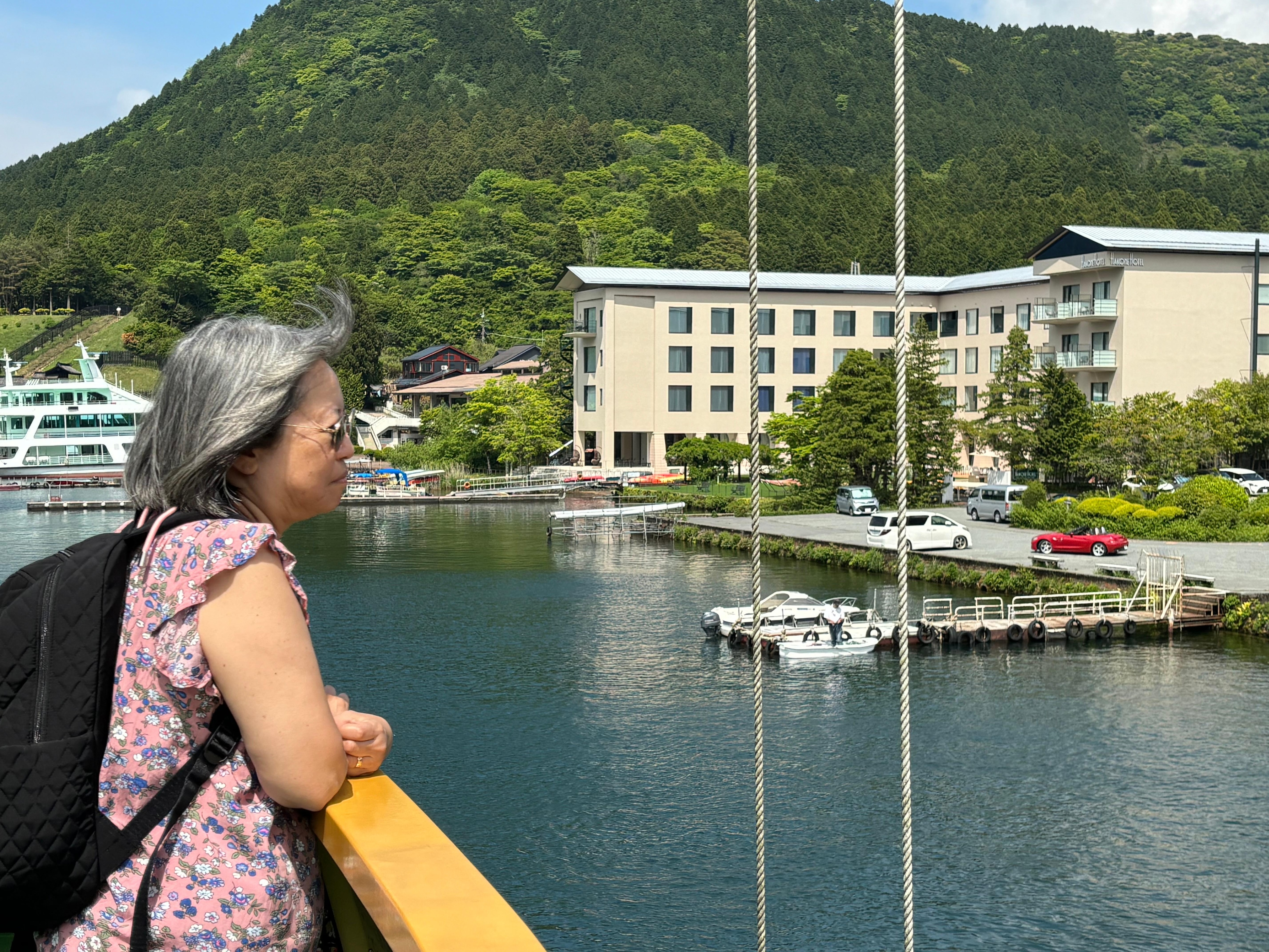 Hakone Hotel from the cruise ship