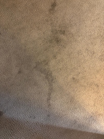 Filthy and old carpet all over the apartment