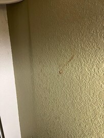 Another grimy spot on the wall