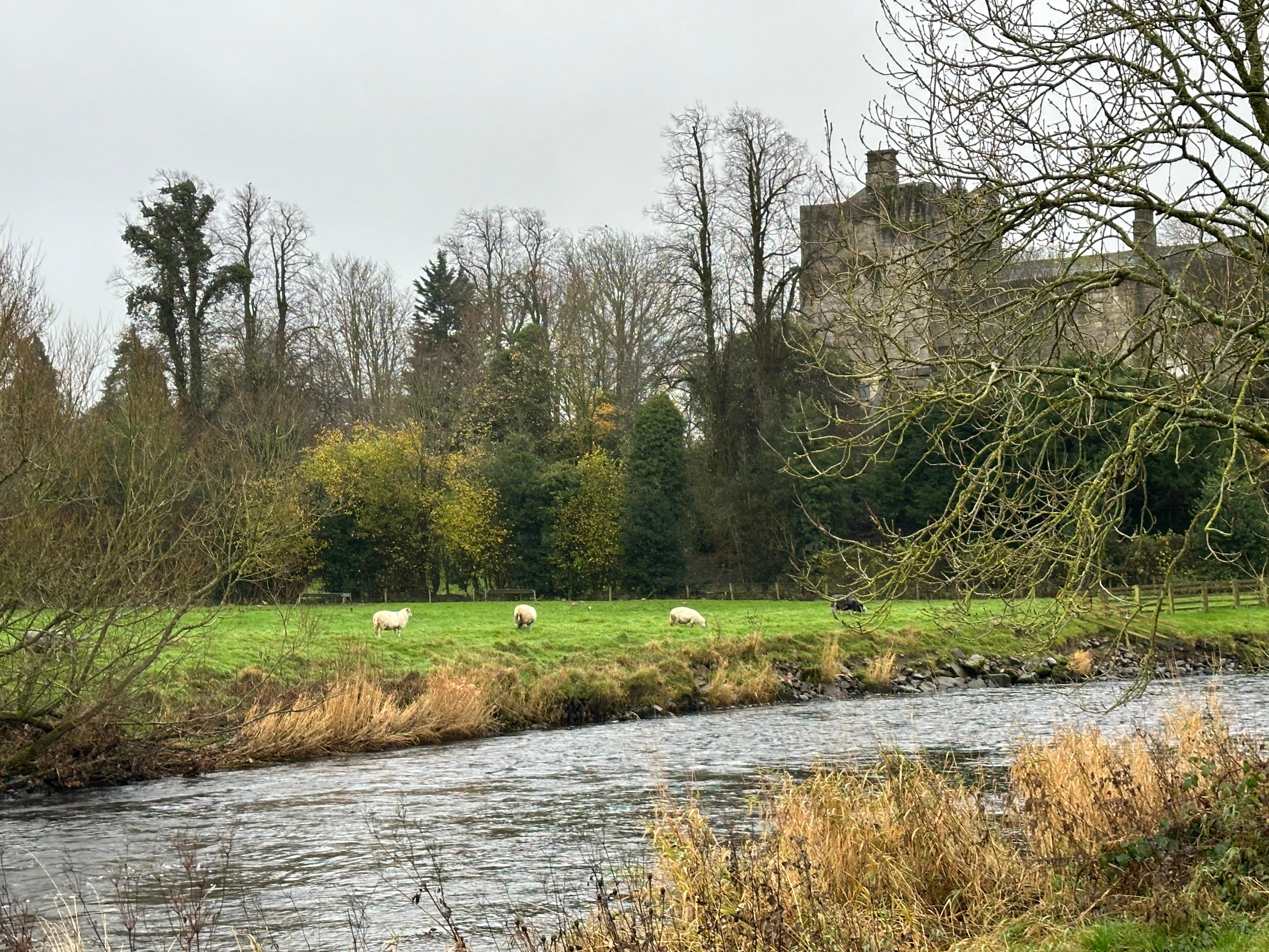 River Derwent and Cockermouth castle 