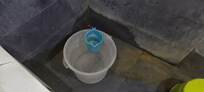 Bucket in bathroom