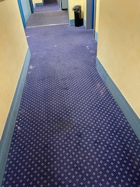 Freshly vacuumed hallway