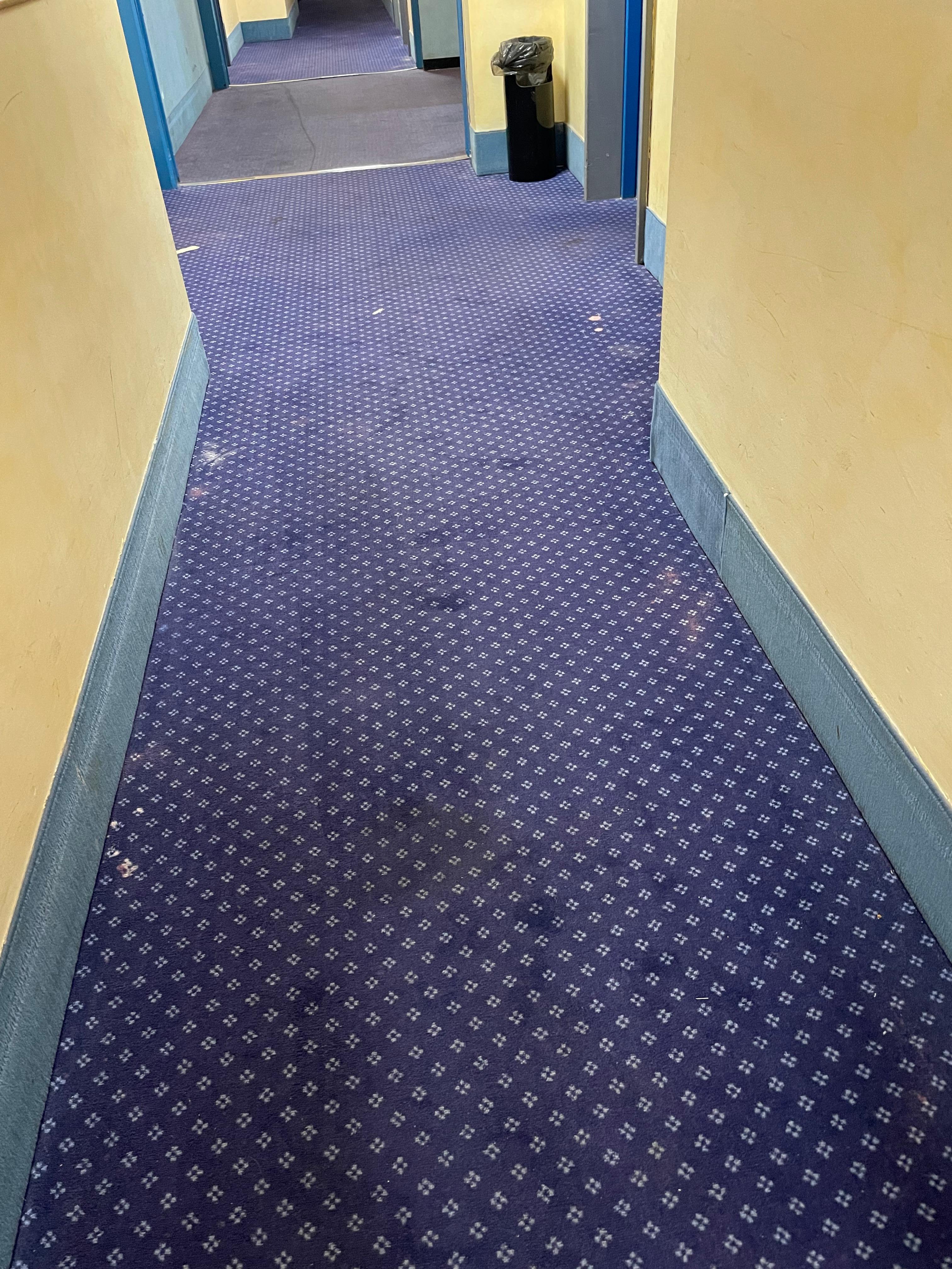 Freshly vacuumed hallway 