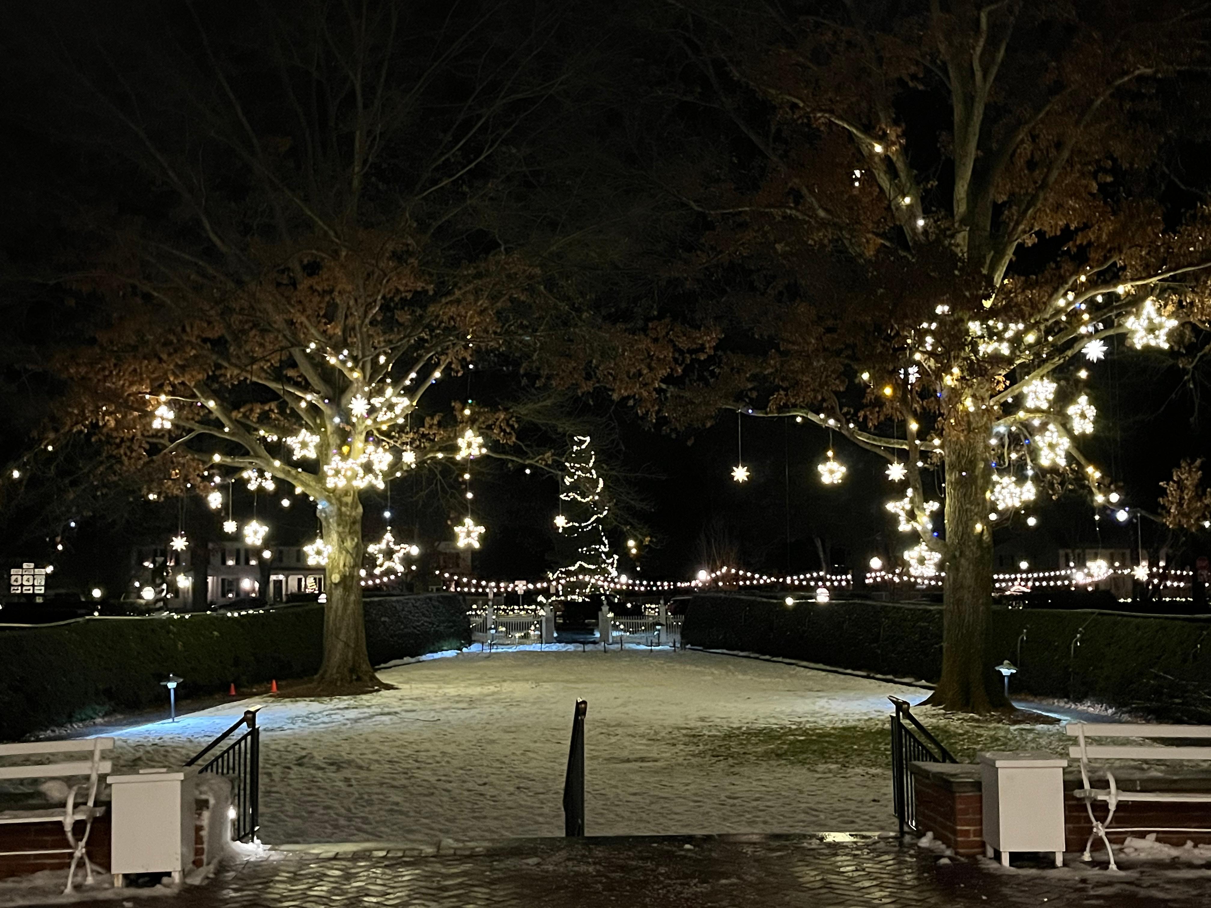 Beautiful sparkling decorations at night.