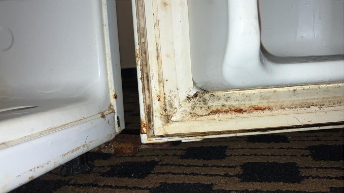 Black mold on refrigerator