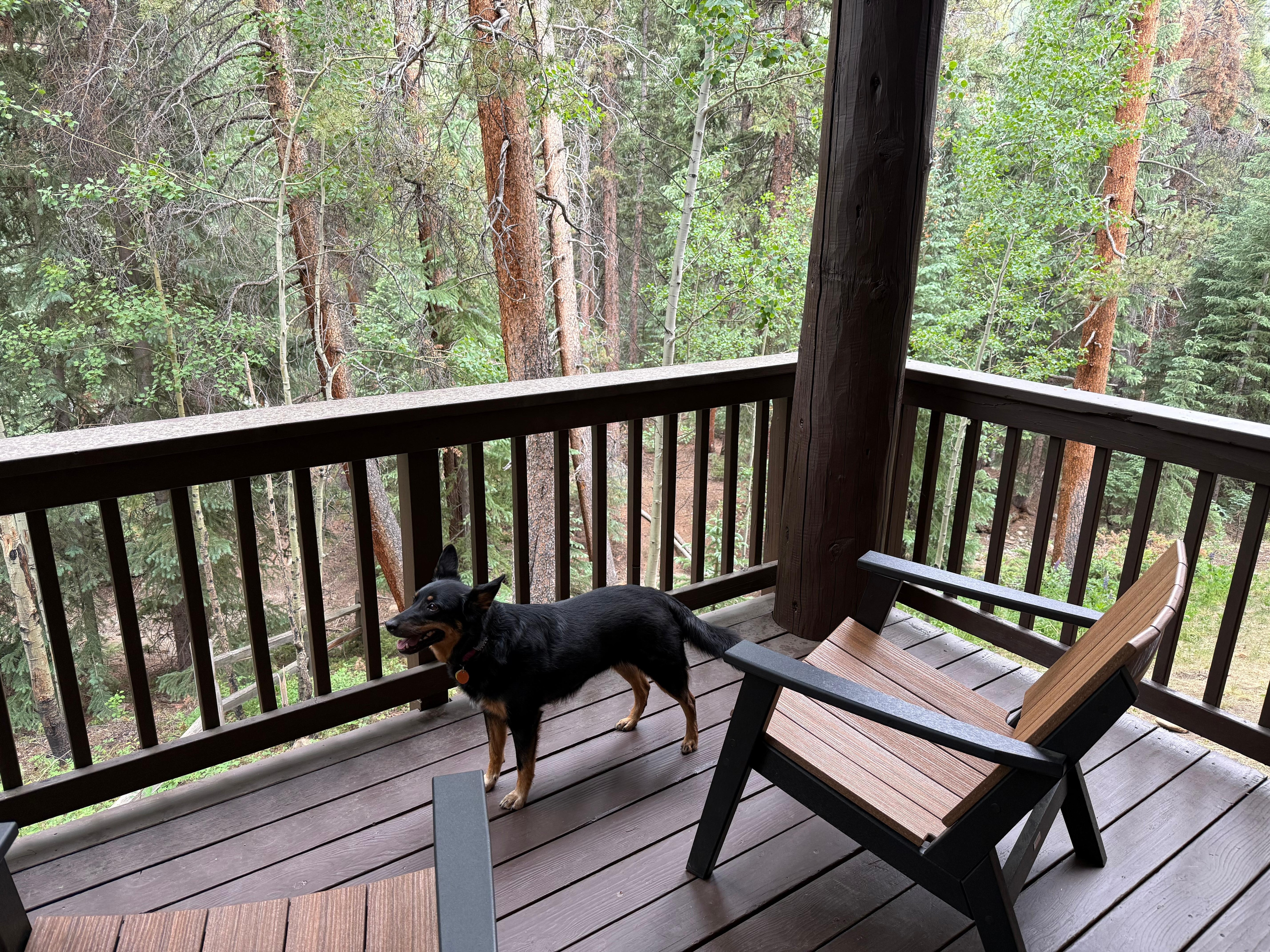 We LOVED the little balcony; perfect for summer