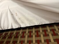 Box spring cover sheet showing bed 1.