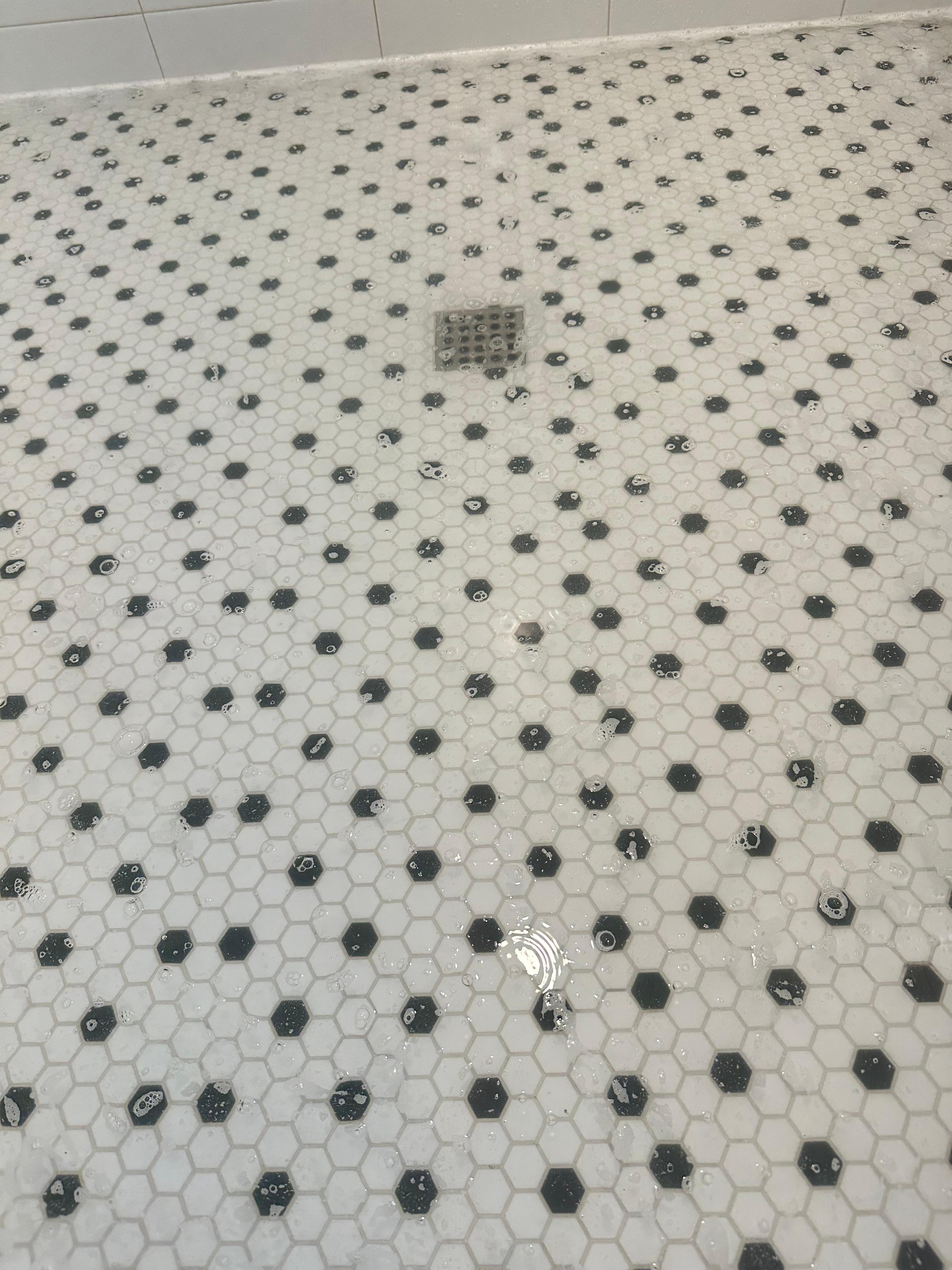 Clogged shower drain