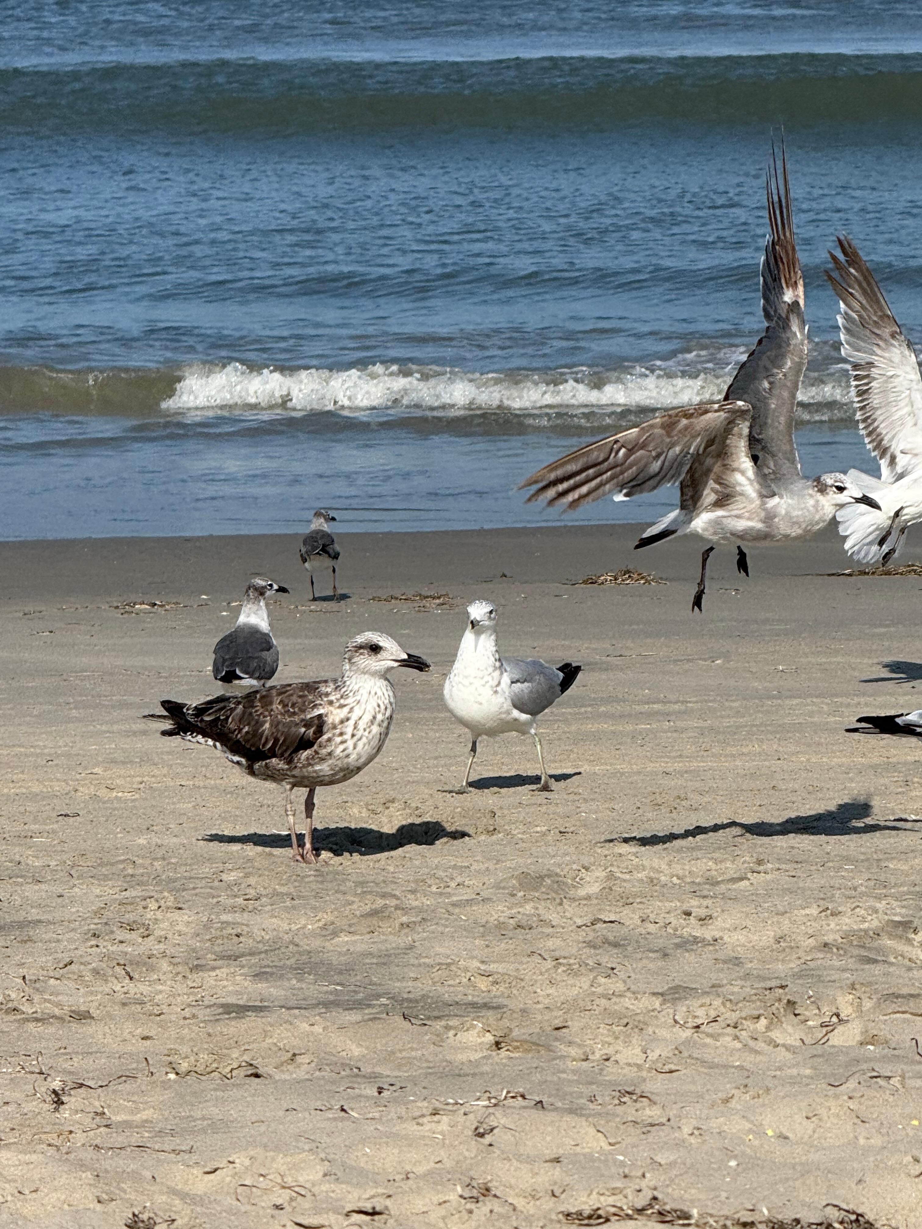 We loved the birds!