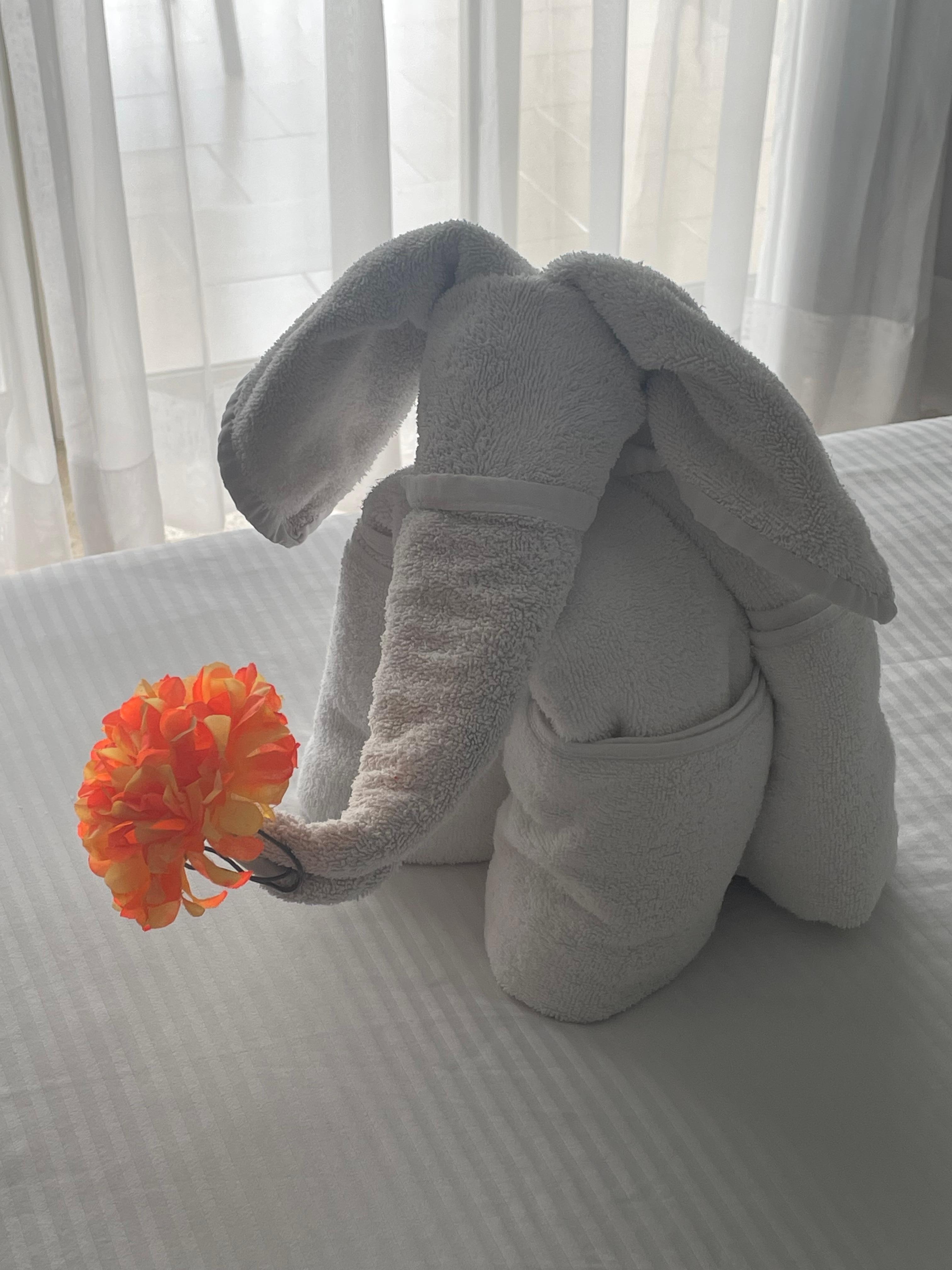 An awesome extra from our housekeeper, Diego