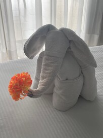 An awesome extra from our housekeeper, Diego