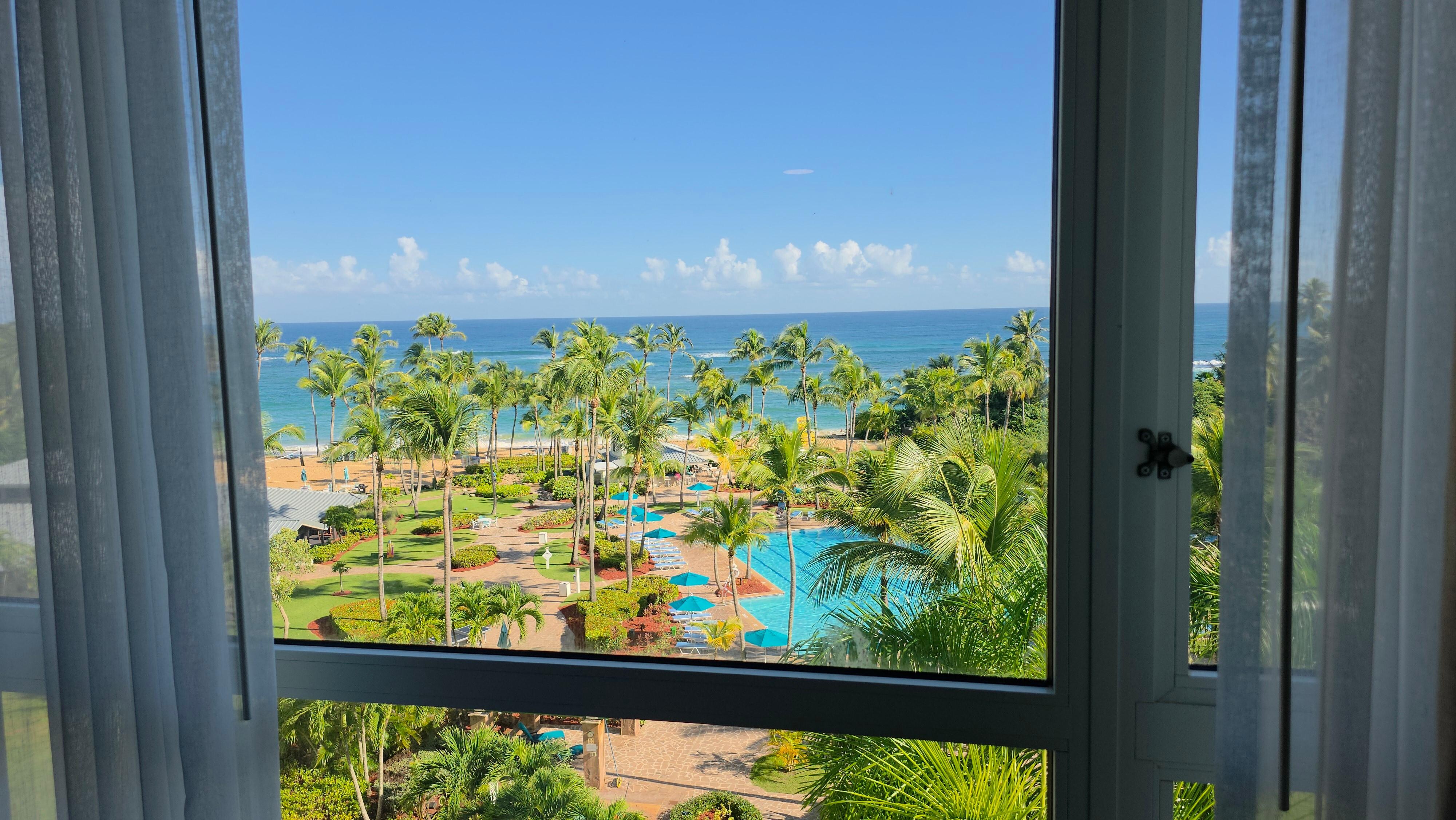 View from balcony. Absolutely amazing! 