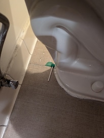 Candy behind toilet