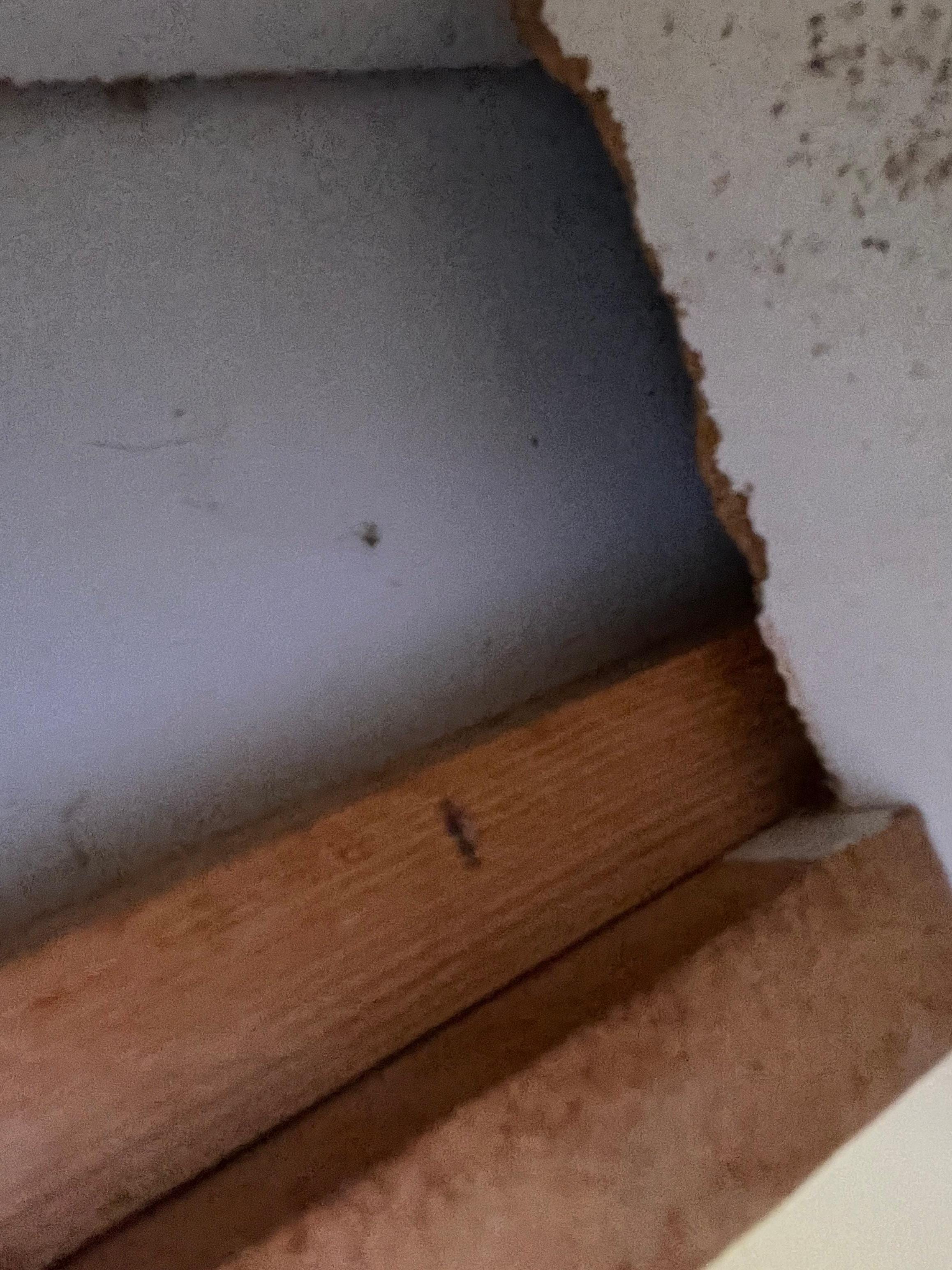 Hole under the cabinet.