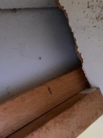 Hole under the cabinet.