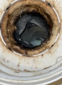 Mold in washer