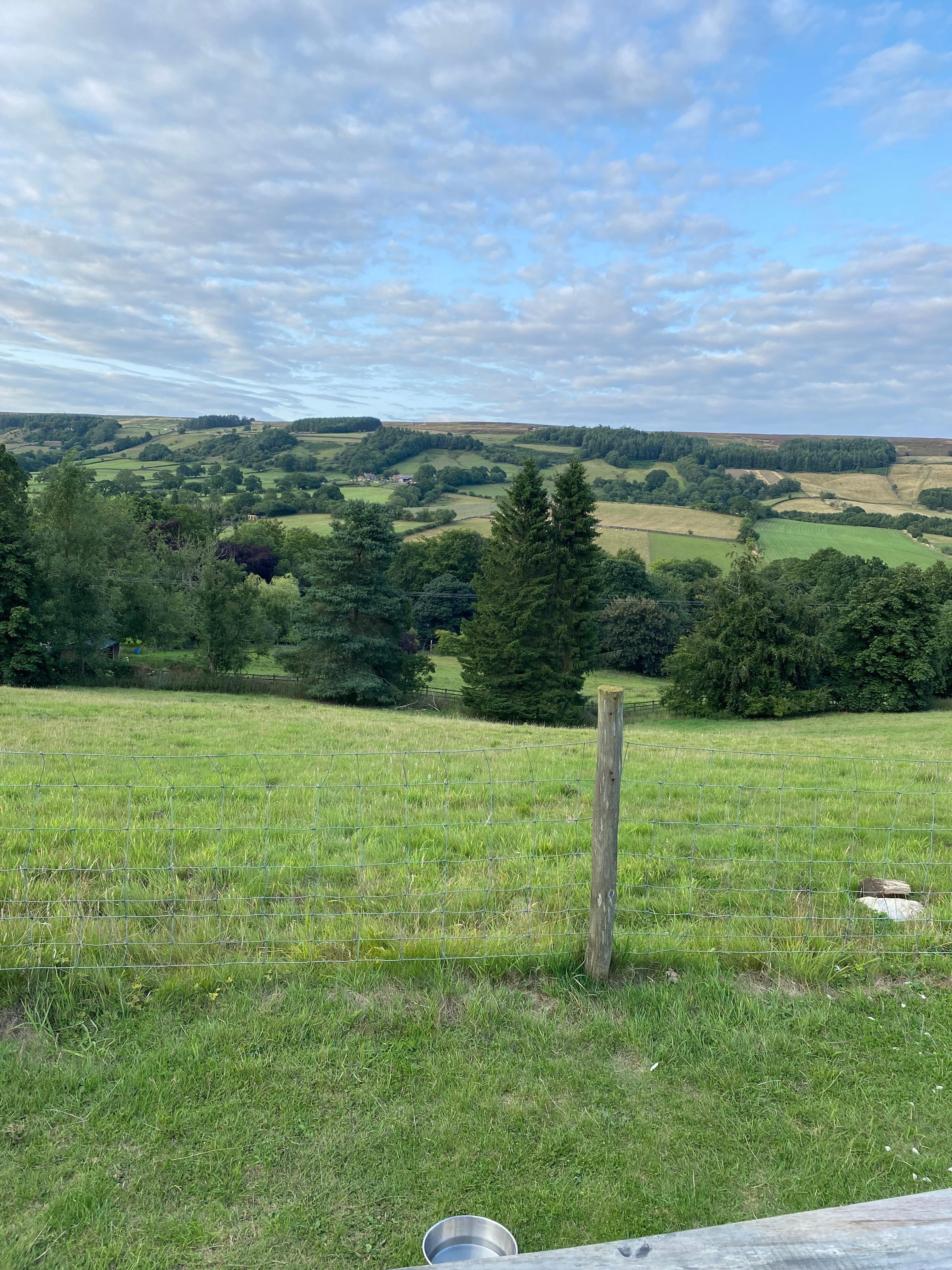 View from outside seating 