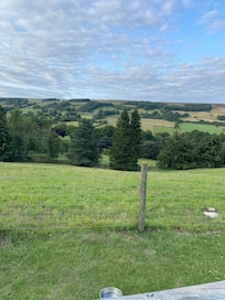 View from outside seating