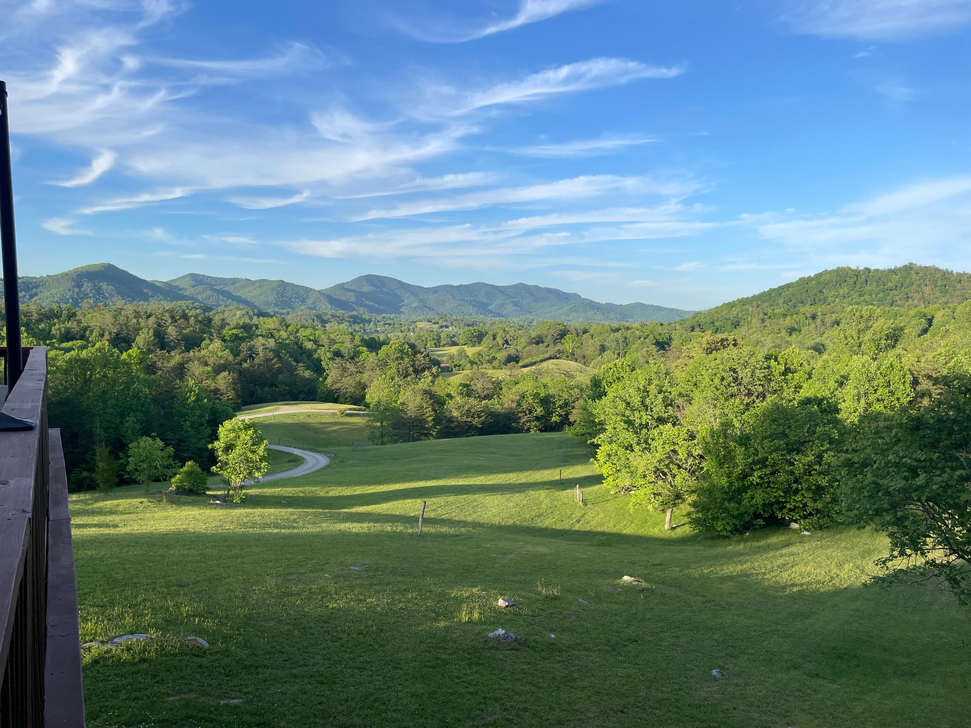 View from the deck