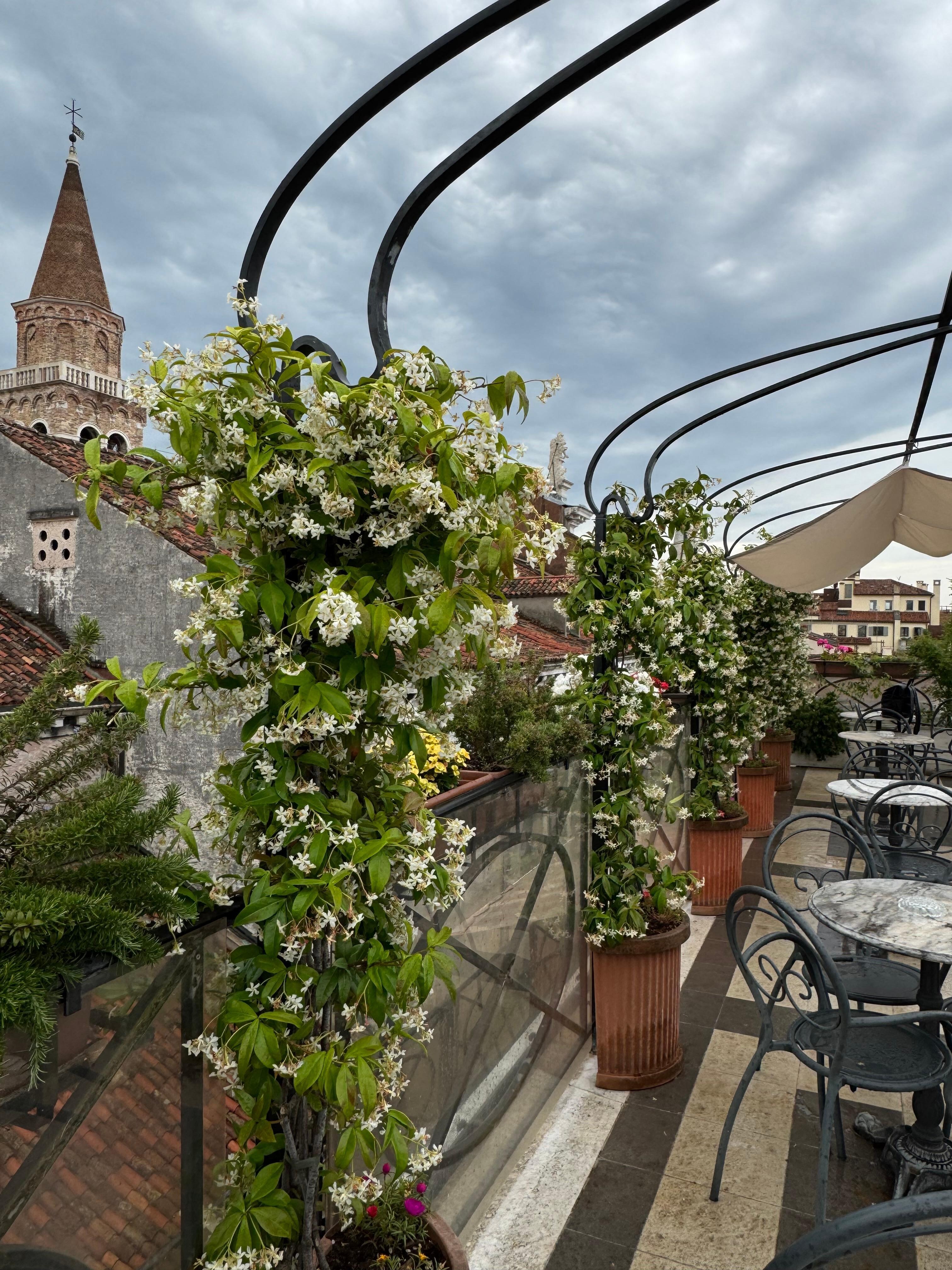 Blick von der Dachterrasse