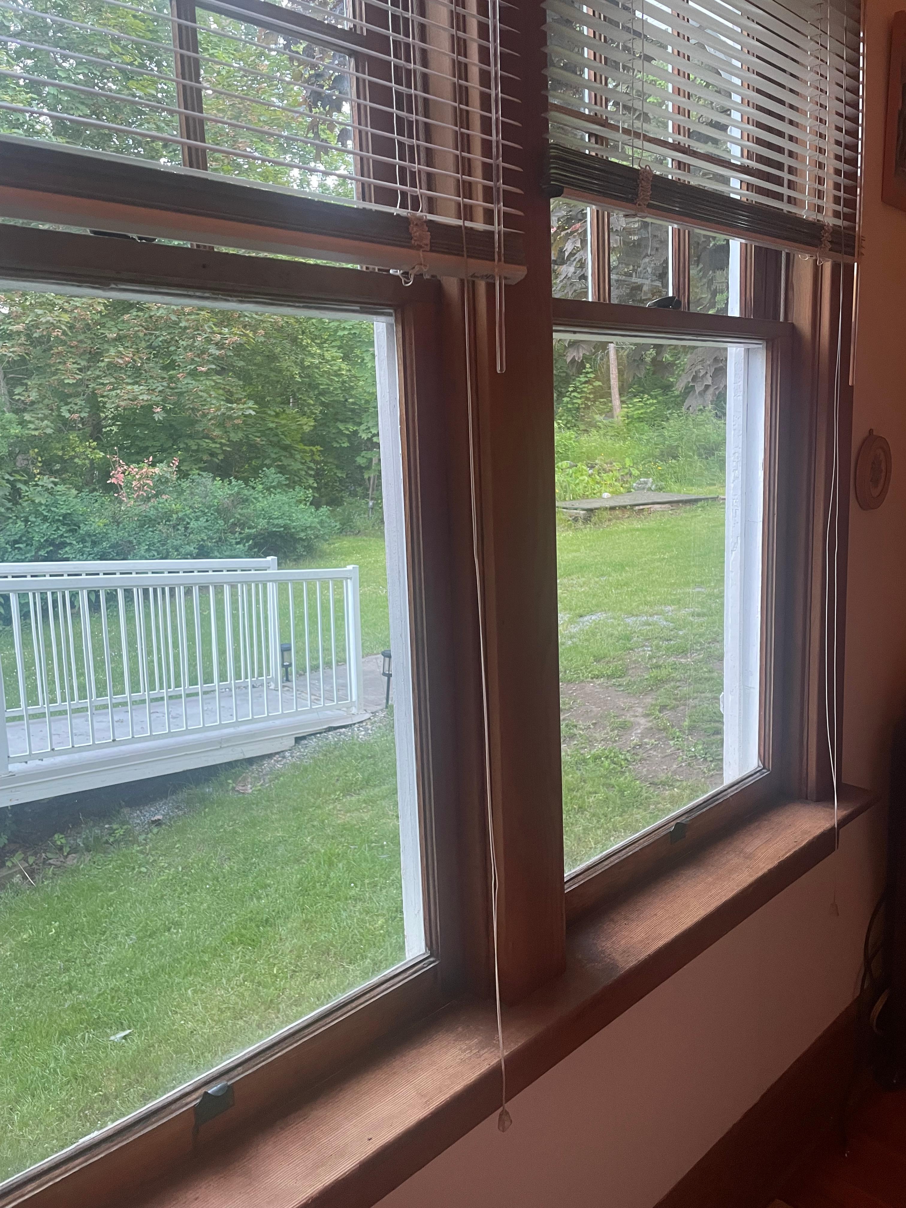 The view from the one bedroom. 