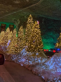 We went to the Mega Cave for the lights