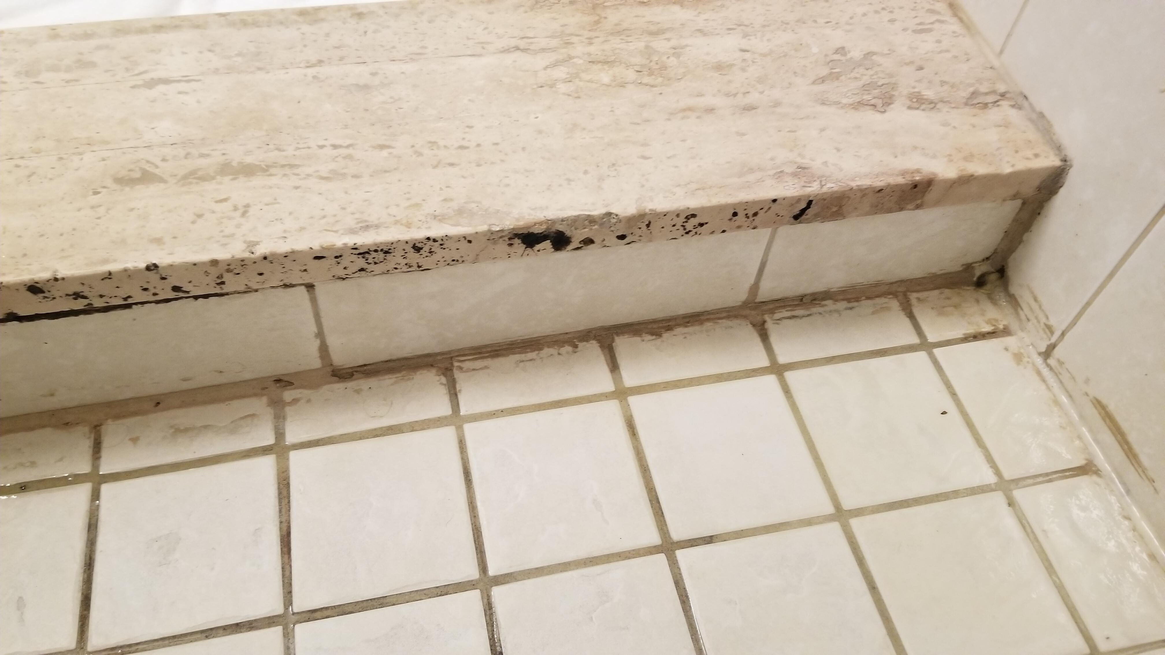 Chunky mold in the shower 