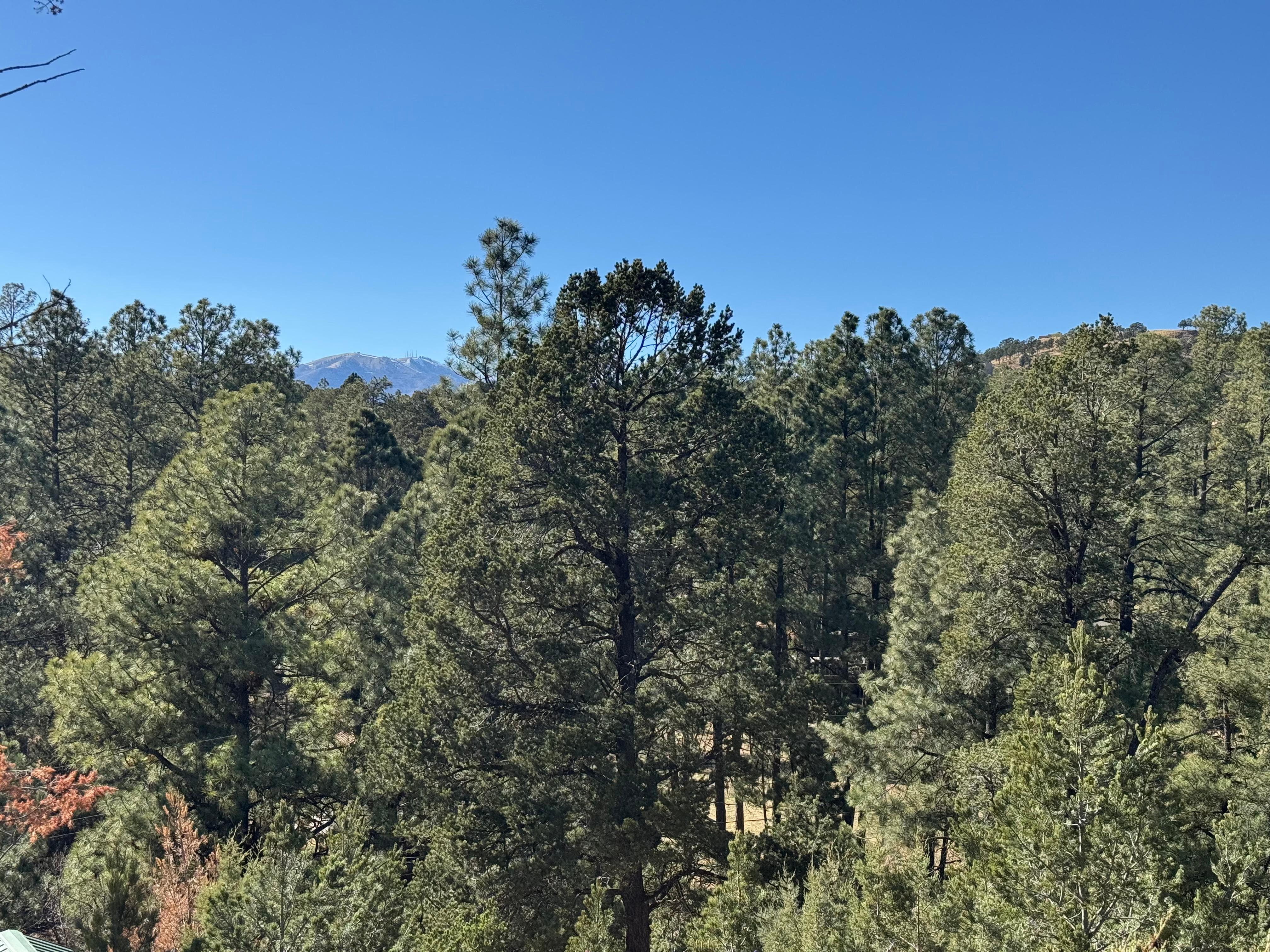 Both pictures are views from the  Pergola 🥰